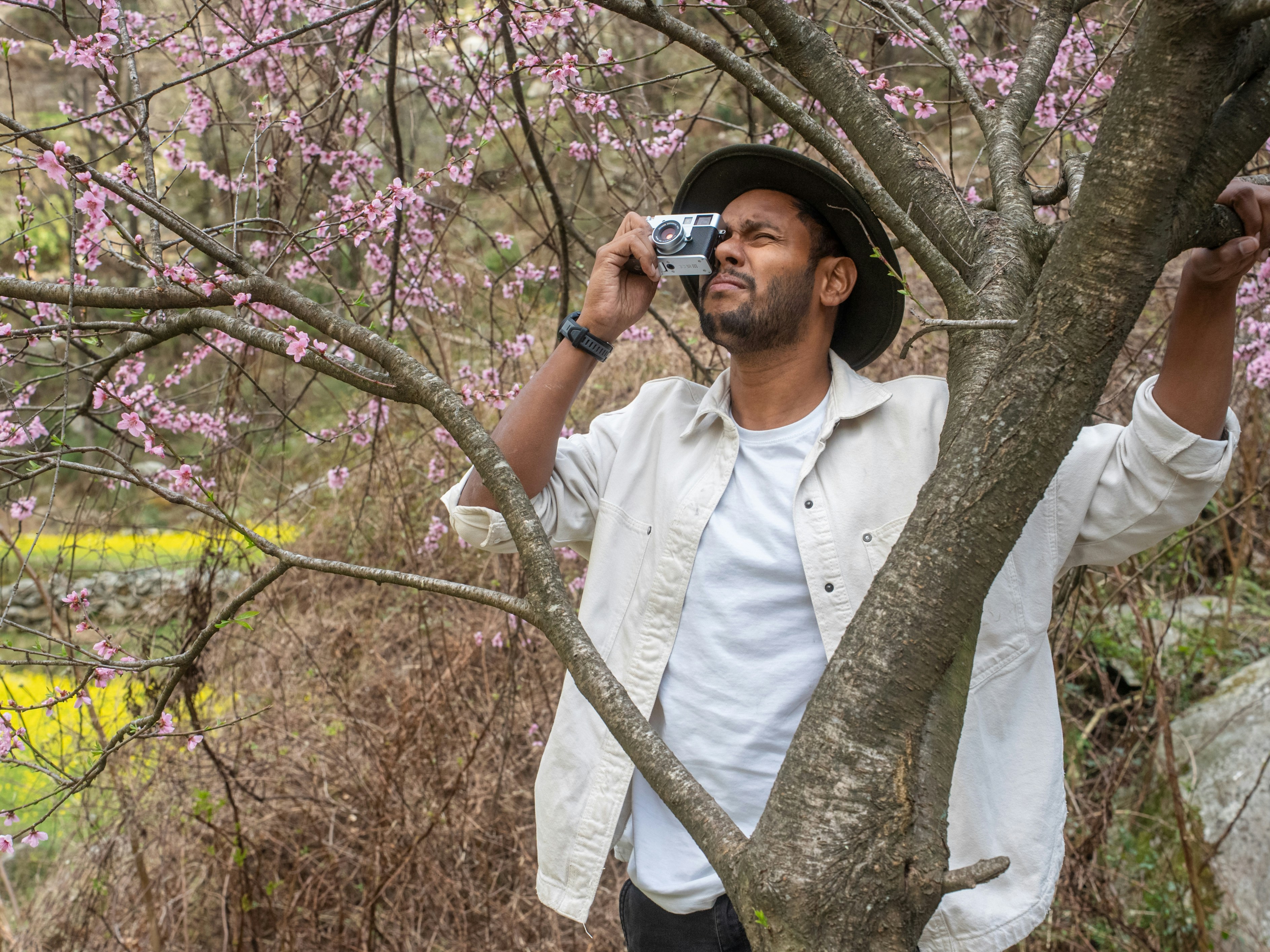 A man takes pictures of blossoming cherry trees.
