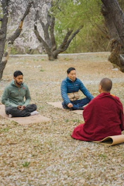 People meditate with a buddhist monk outdoors.