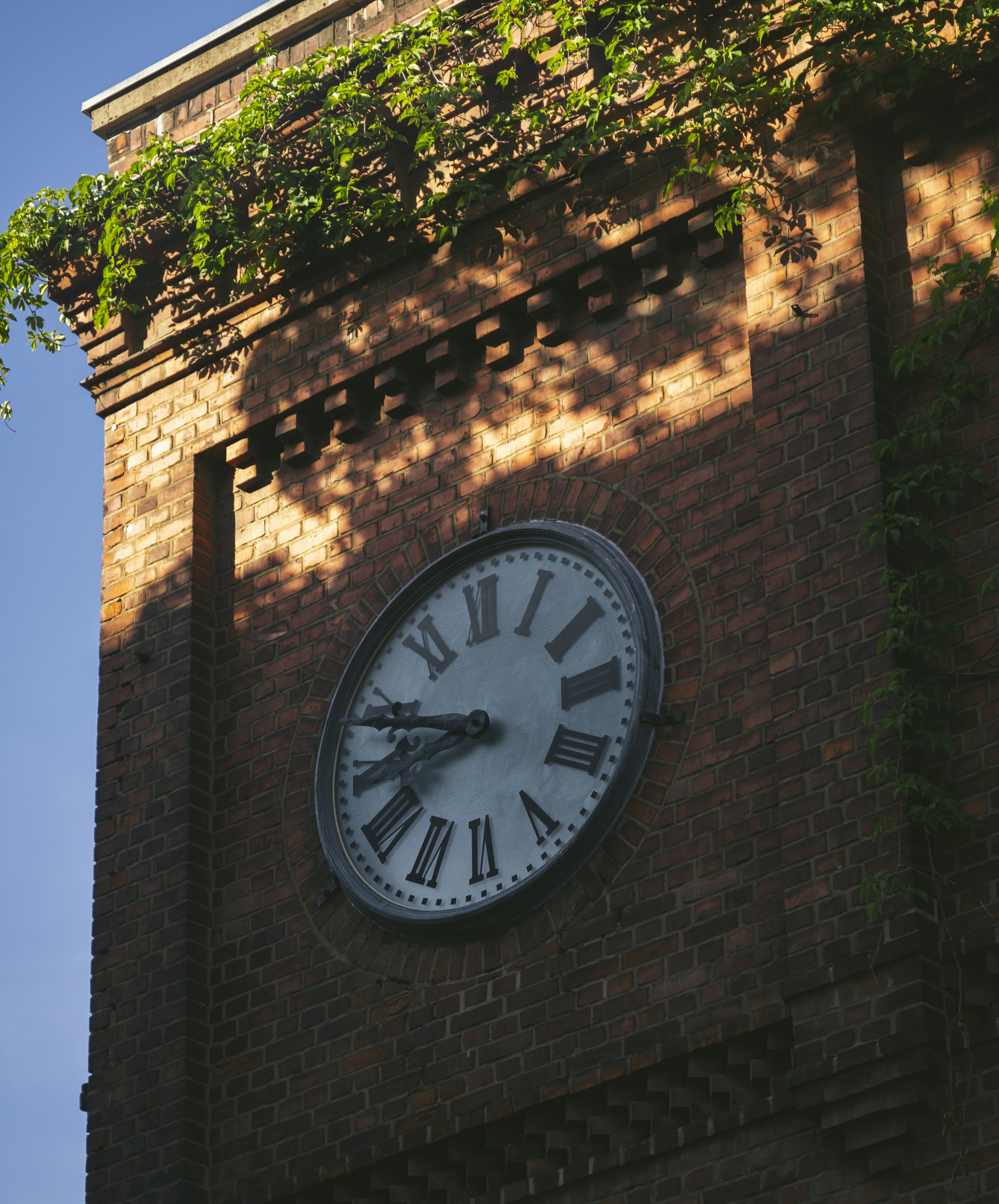 Photo by allexander_h