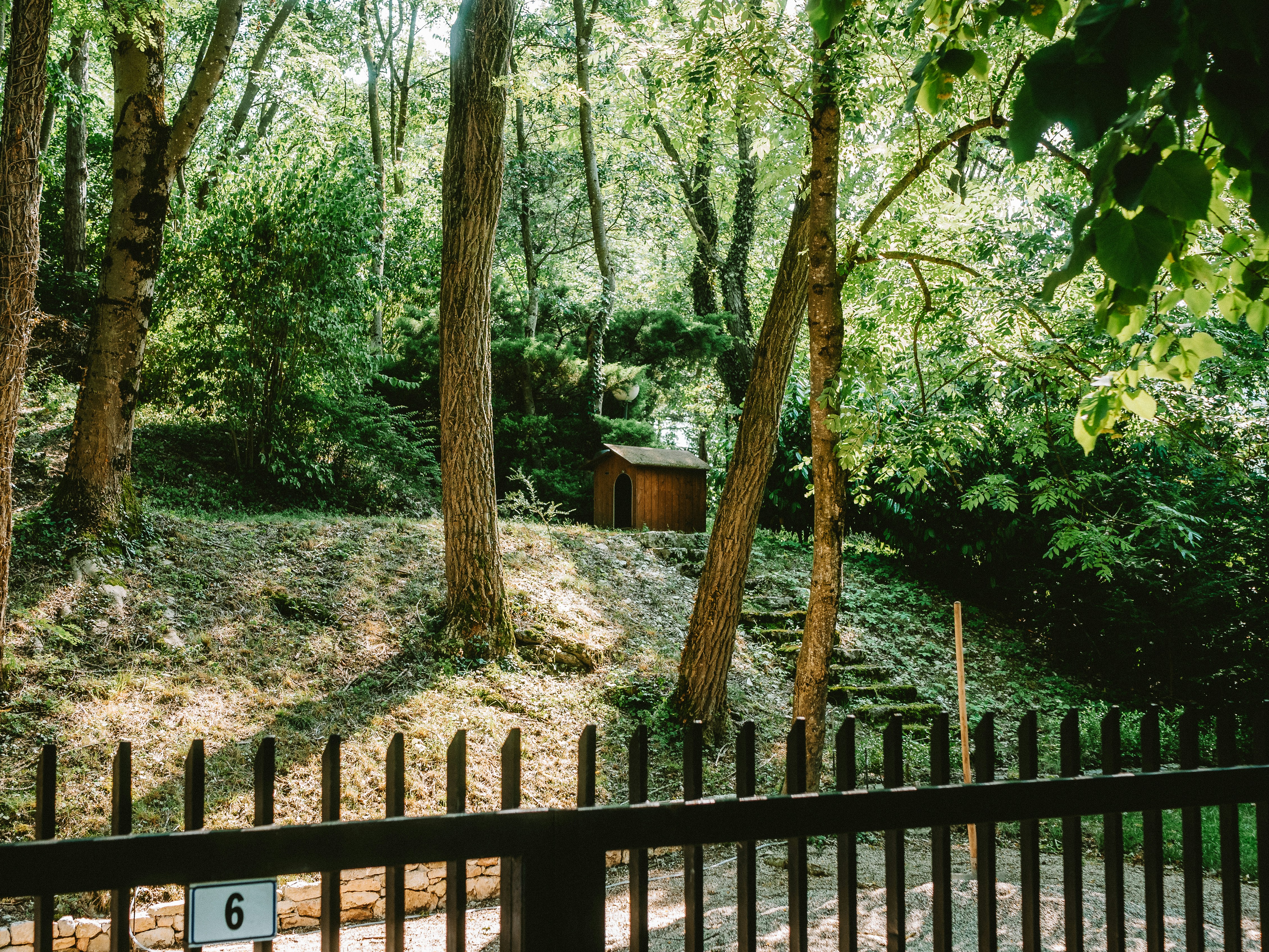 A wooden doghouse is set in a lush forest.