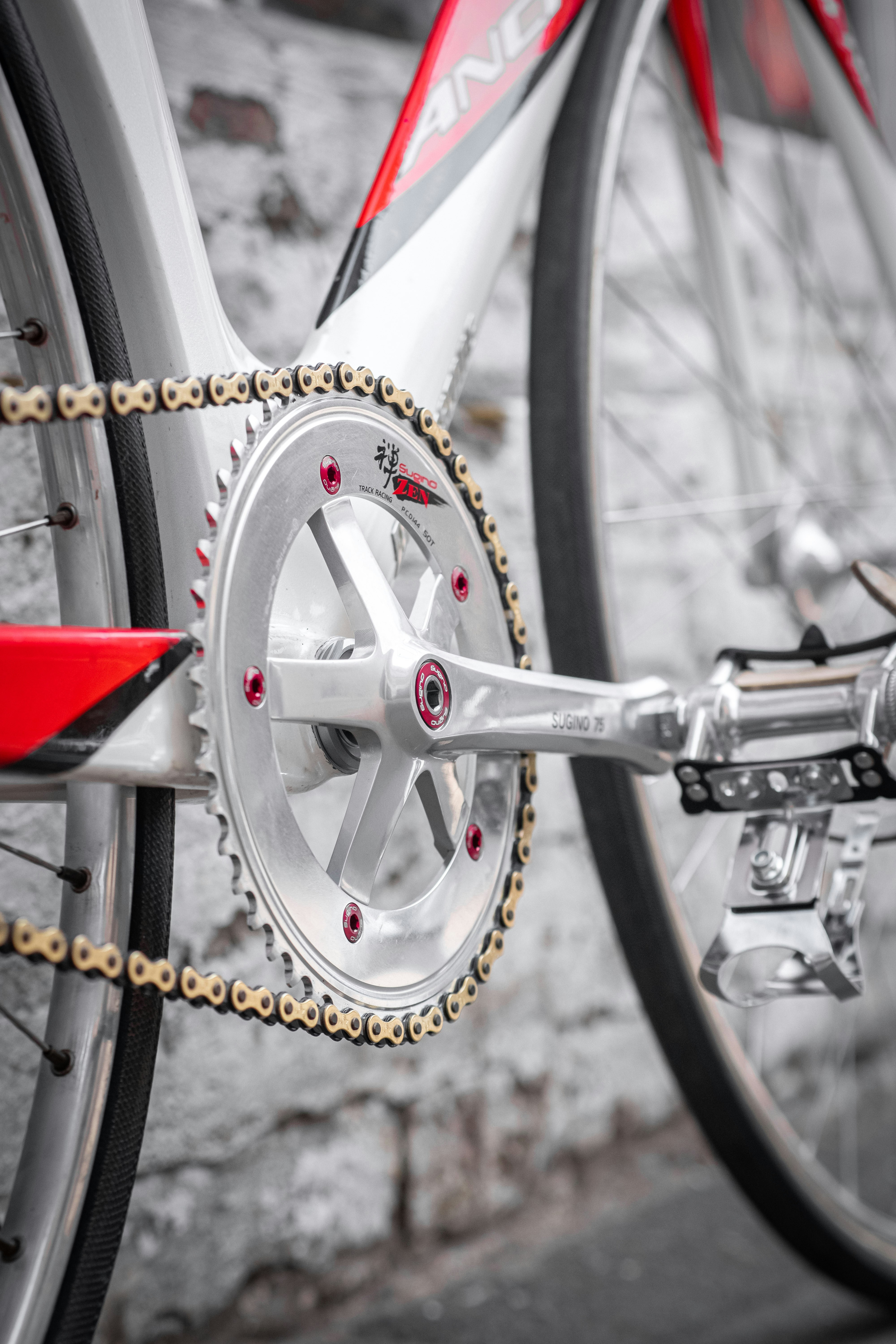 A bicycle's chain and crankset are shown.
