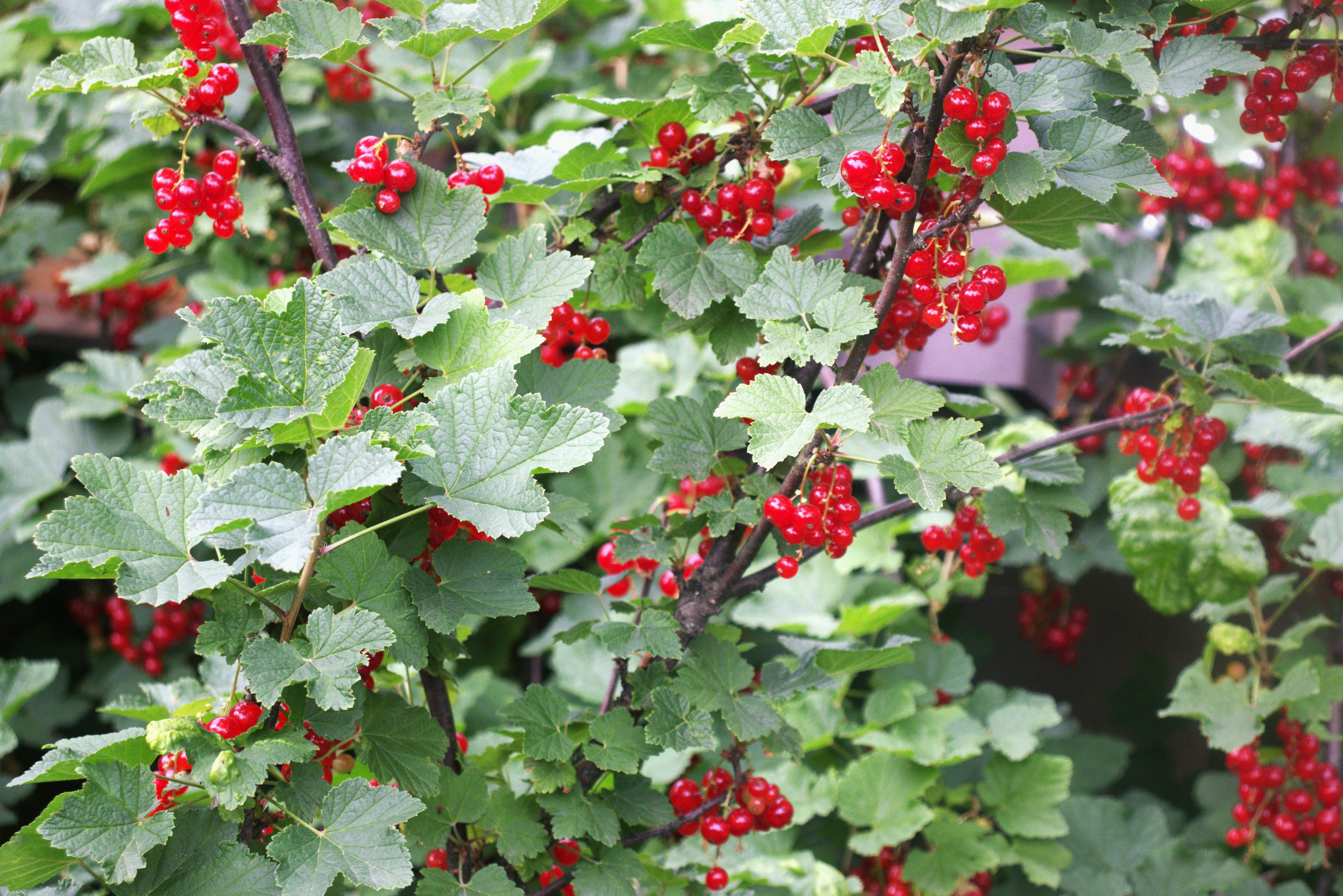 Photo by stasiaspark