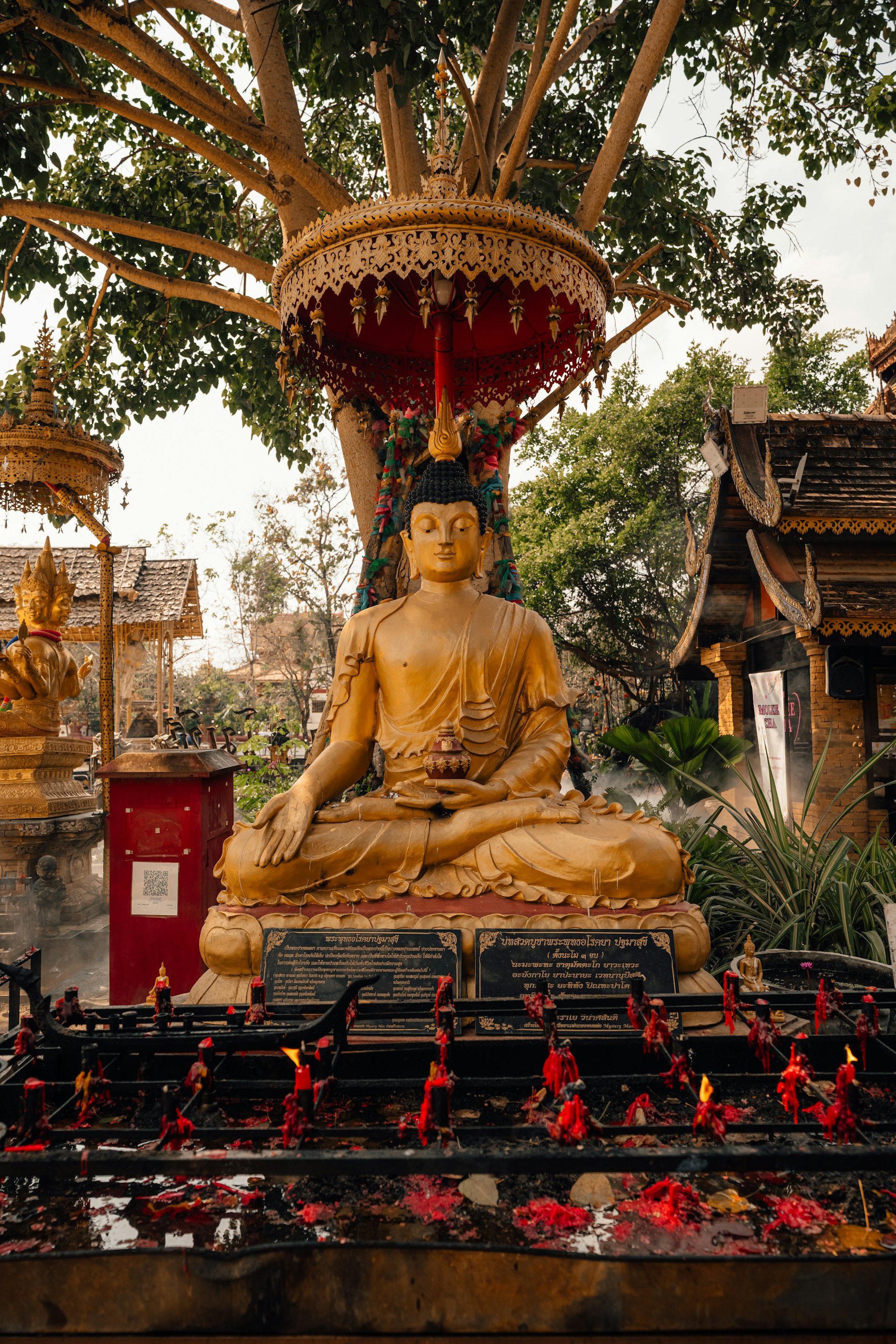 Golden buddha statue sits peacefully in temple.