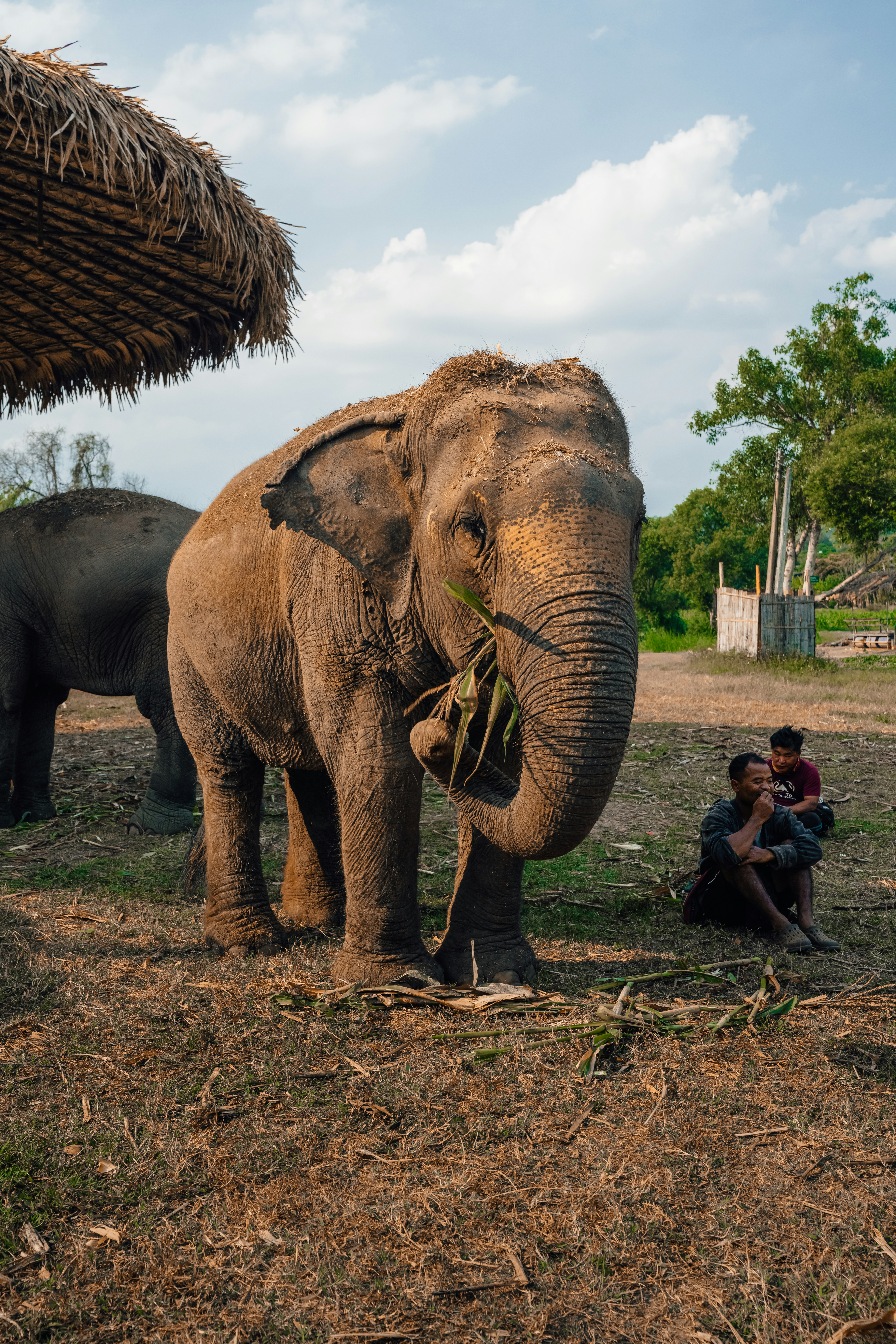 Photo by limamauro23