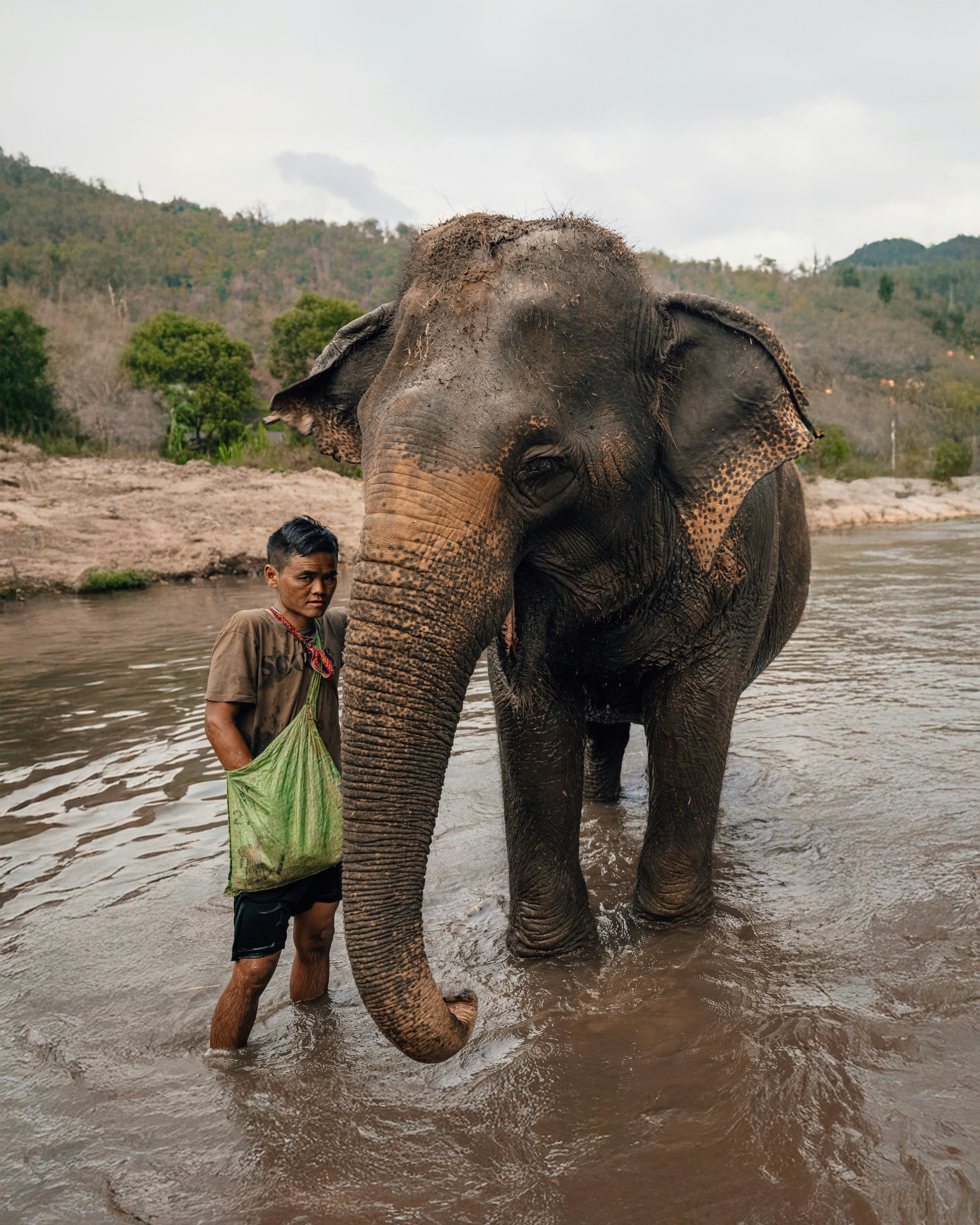 A boy walks with an elephant in water.
