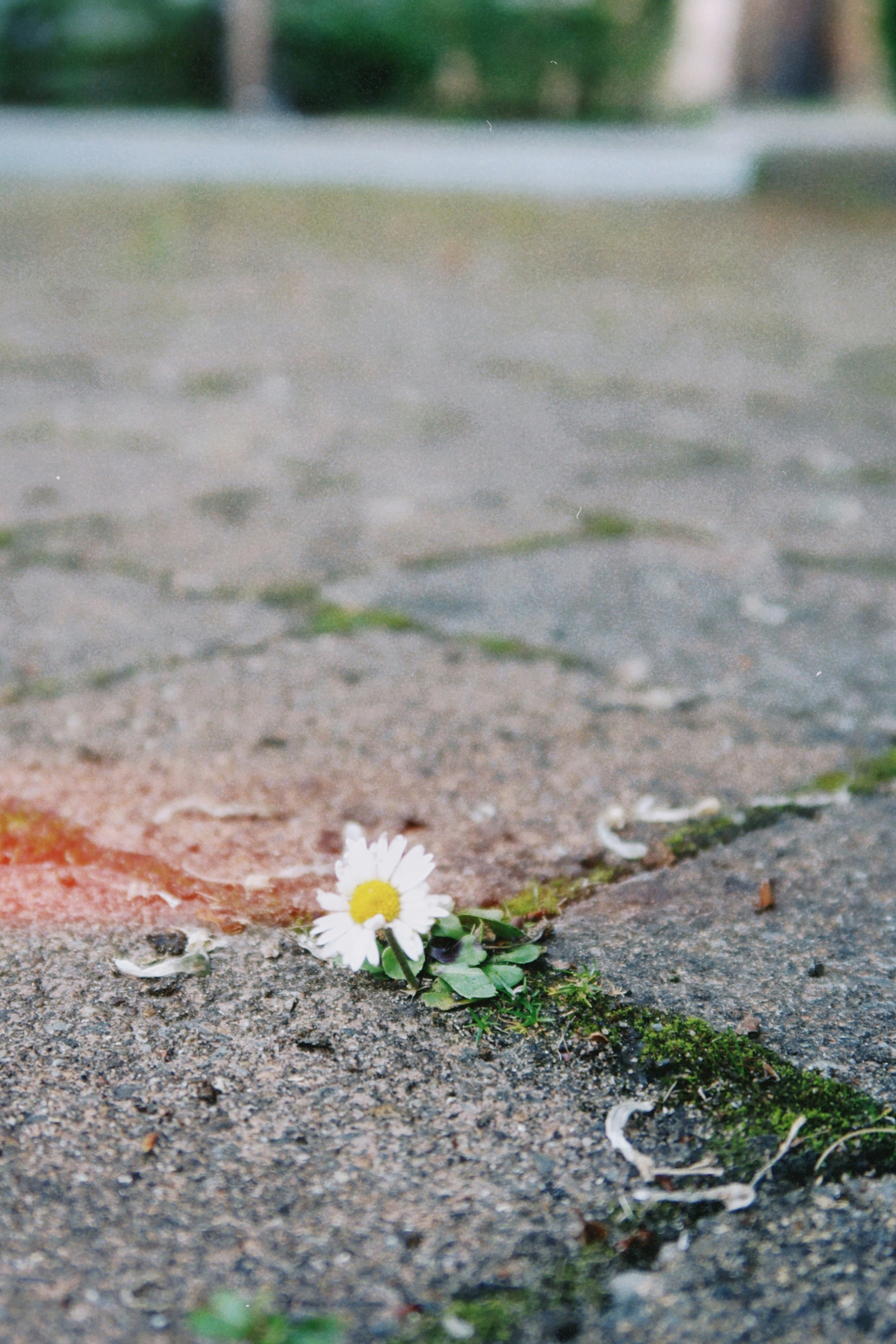 Photo by tanyabarrow