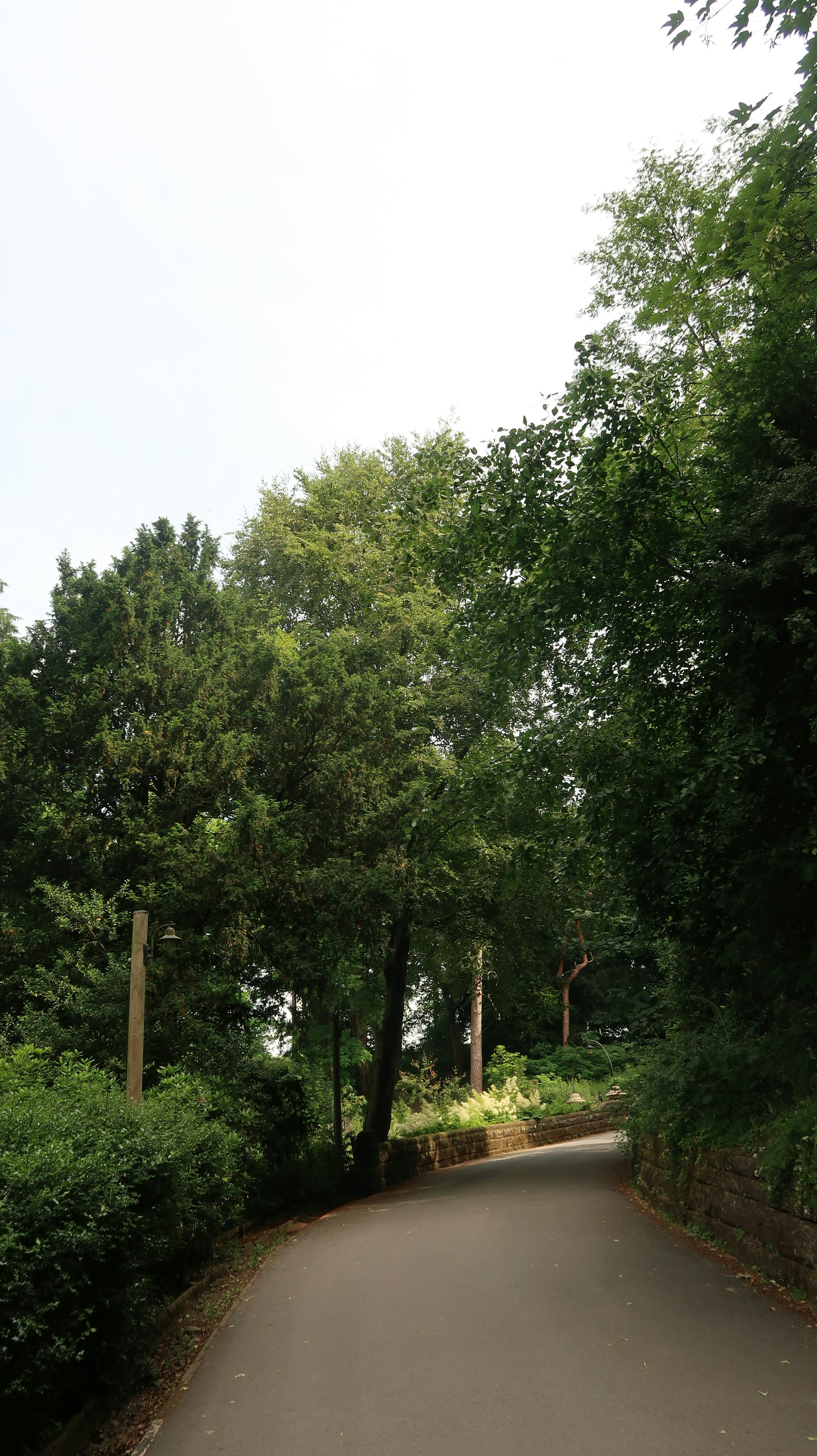 Photo by tanyabarrow