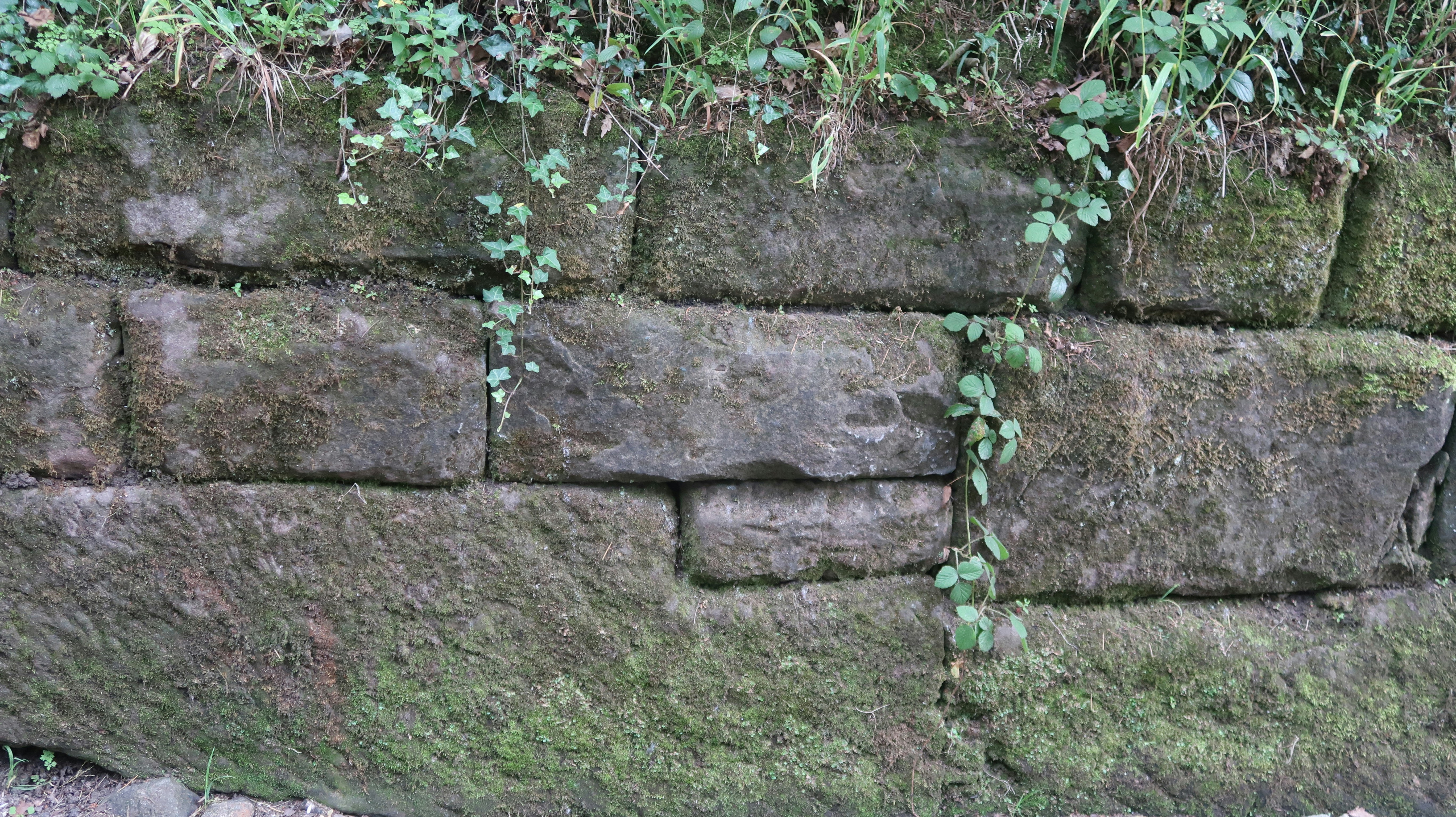 photo-1750436918813-464e6e8ae13d?ixid=M3wxMjA3fDB8MXxzZWFyY2h8MTl8fHRoaW4lMjBzdG9uZSUyMHZlbmVlciUyMGZvciUyMGFjY2VudCUyMHdhbGxzfGVufDB8fHx8MTc1MTI5ODcyMnww\u0026ixlib=rb-4.1.0