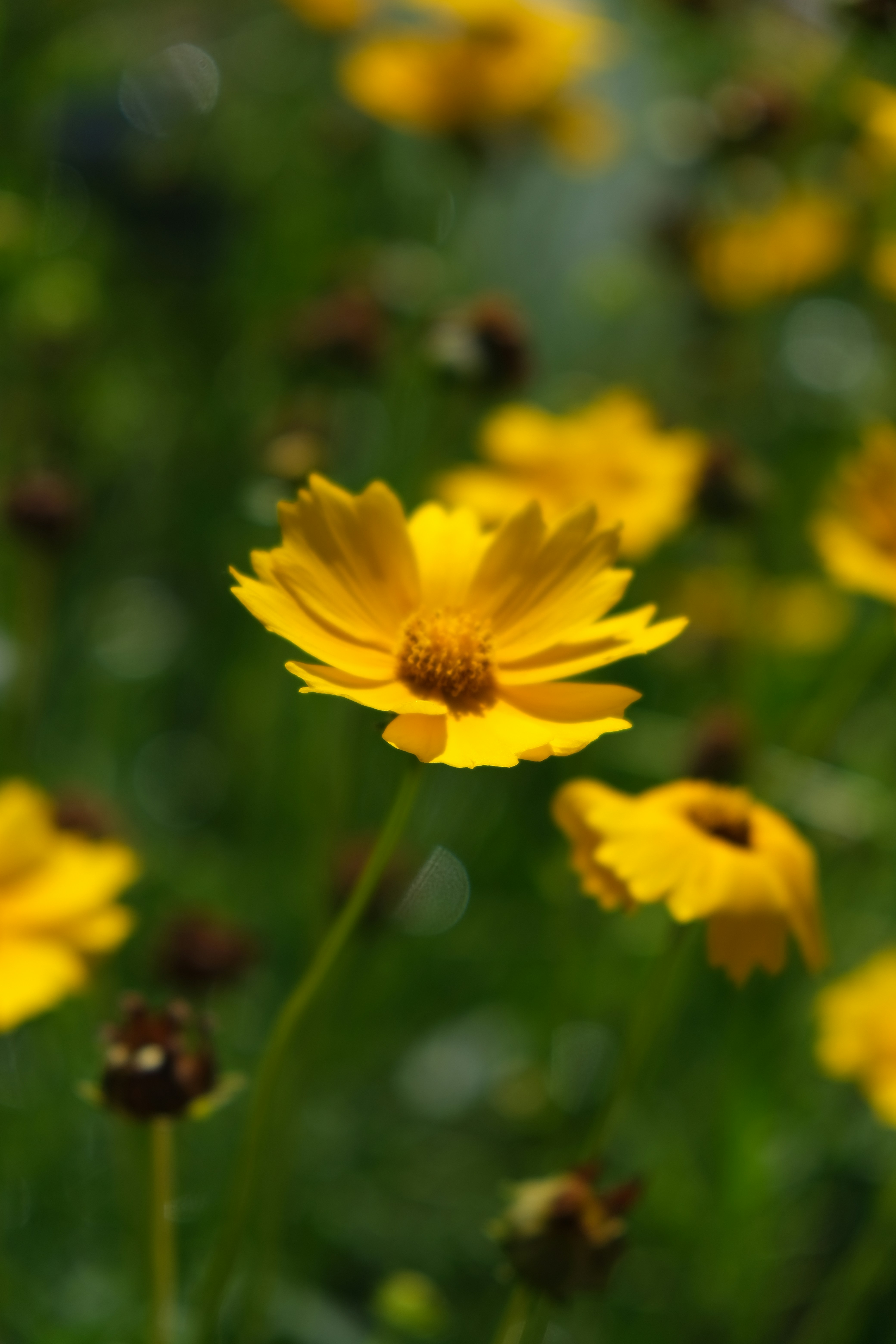 Photo by filming_co2022