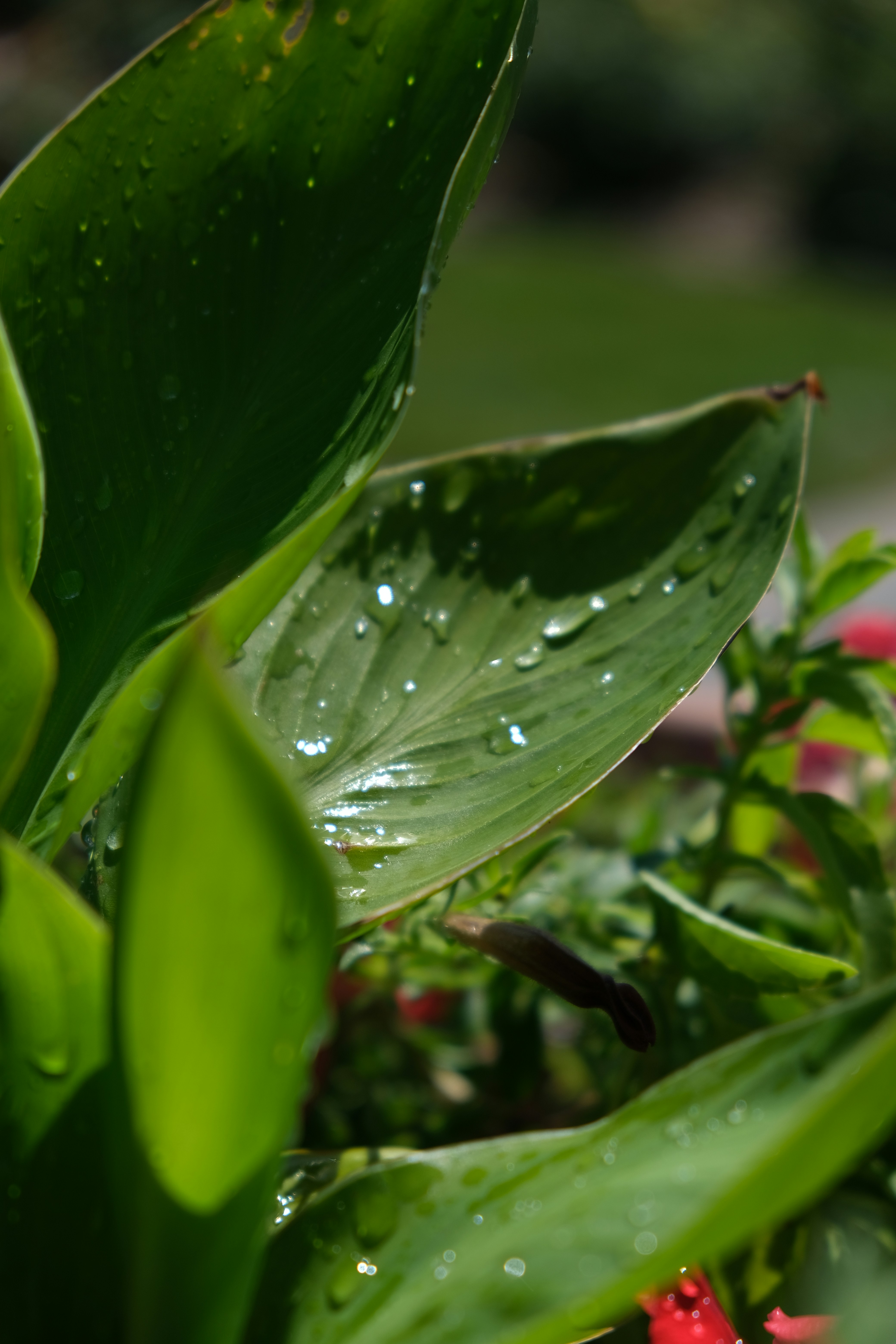 Photo by filming_co2022