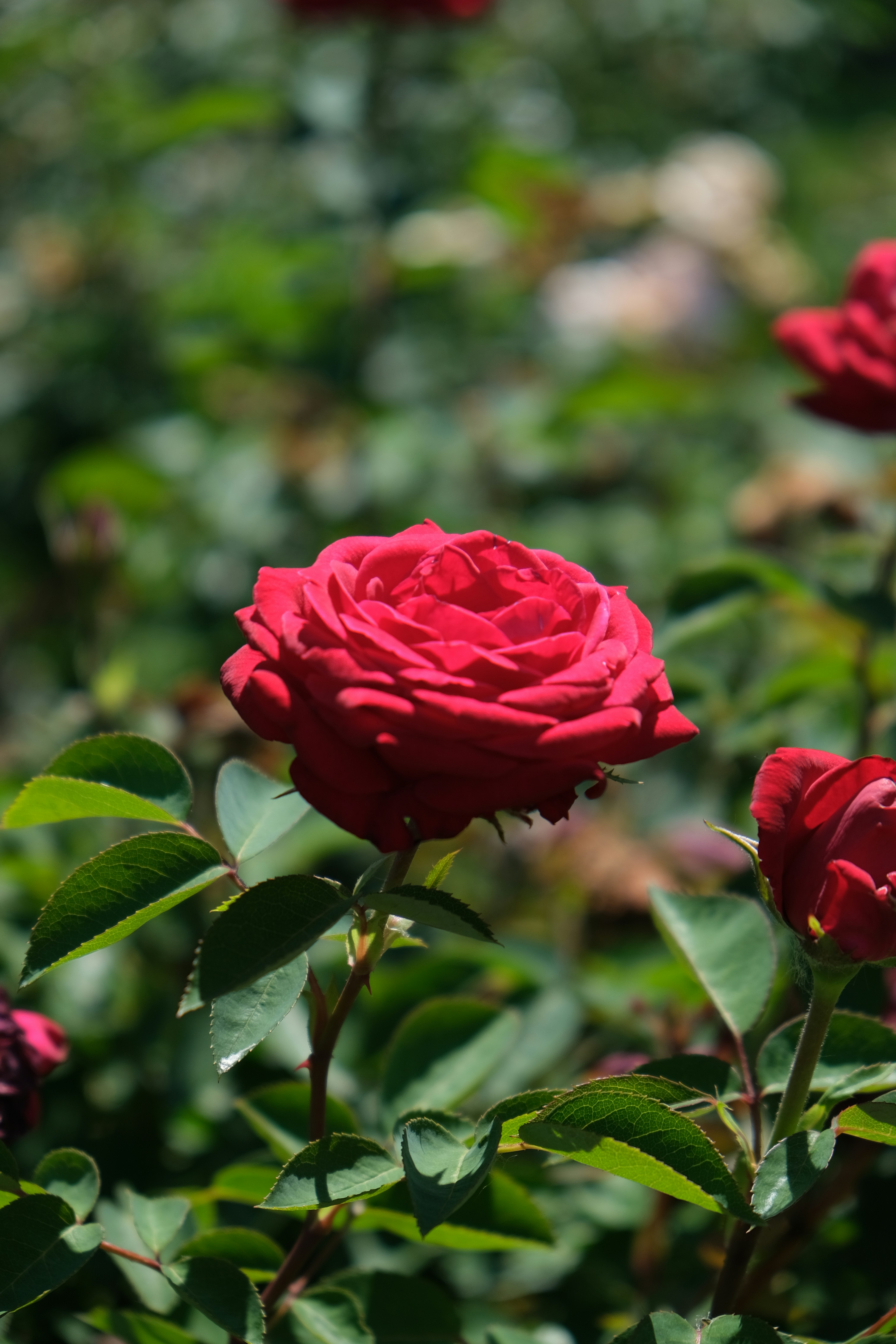 Photo by filming_co2022