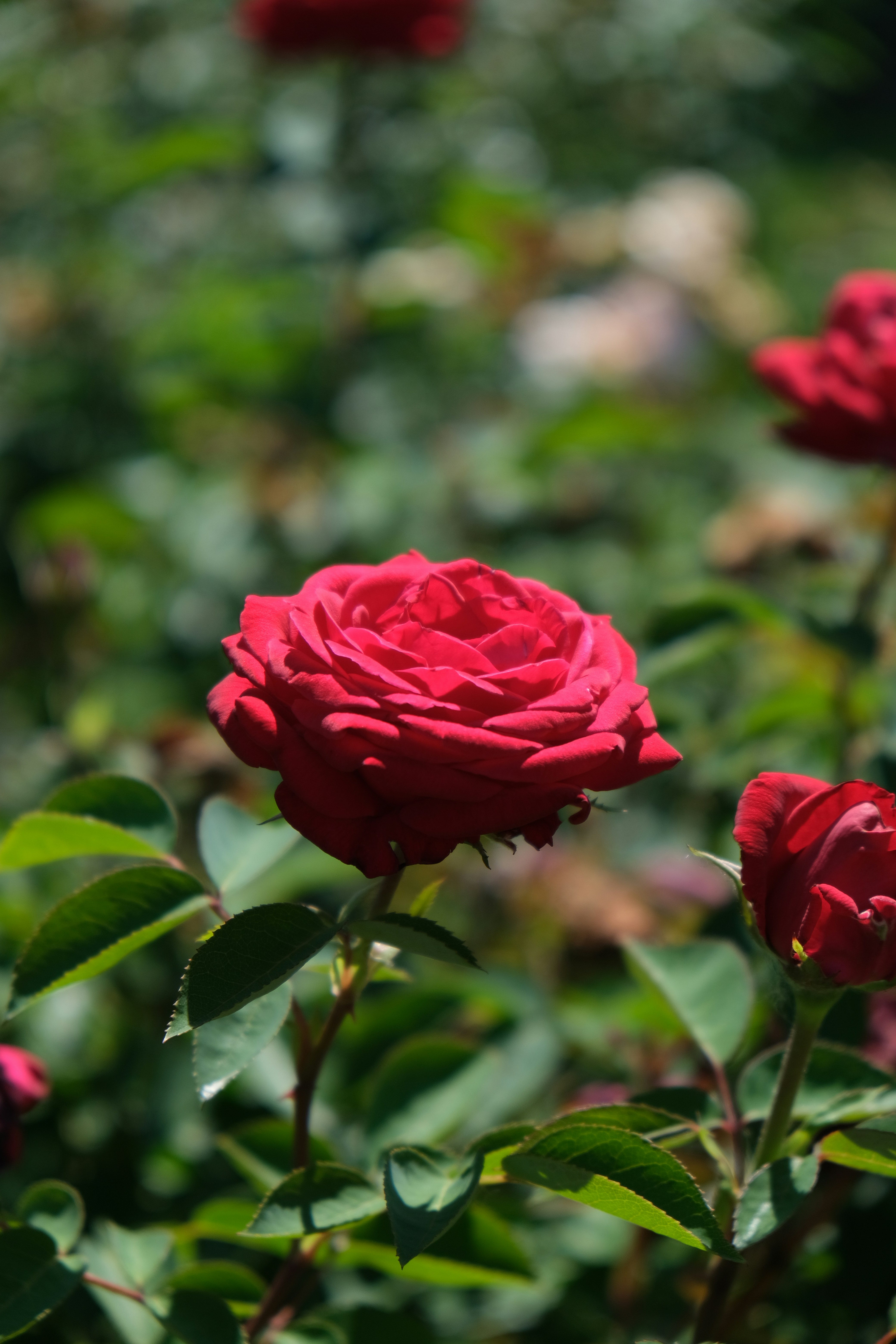 Photo by filming_co2022