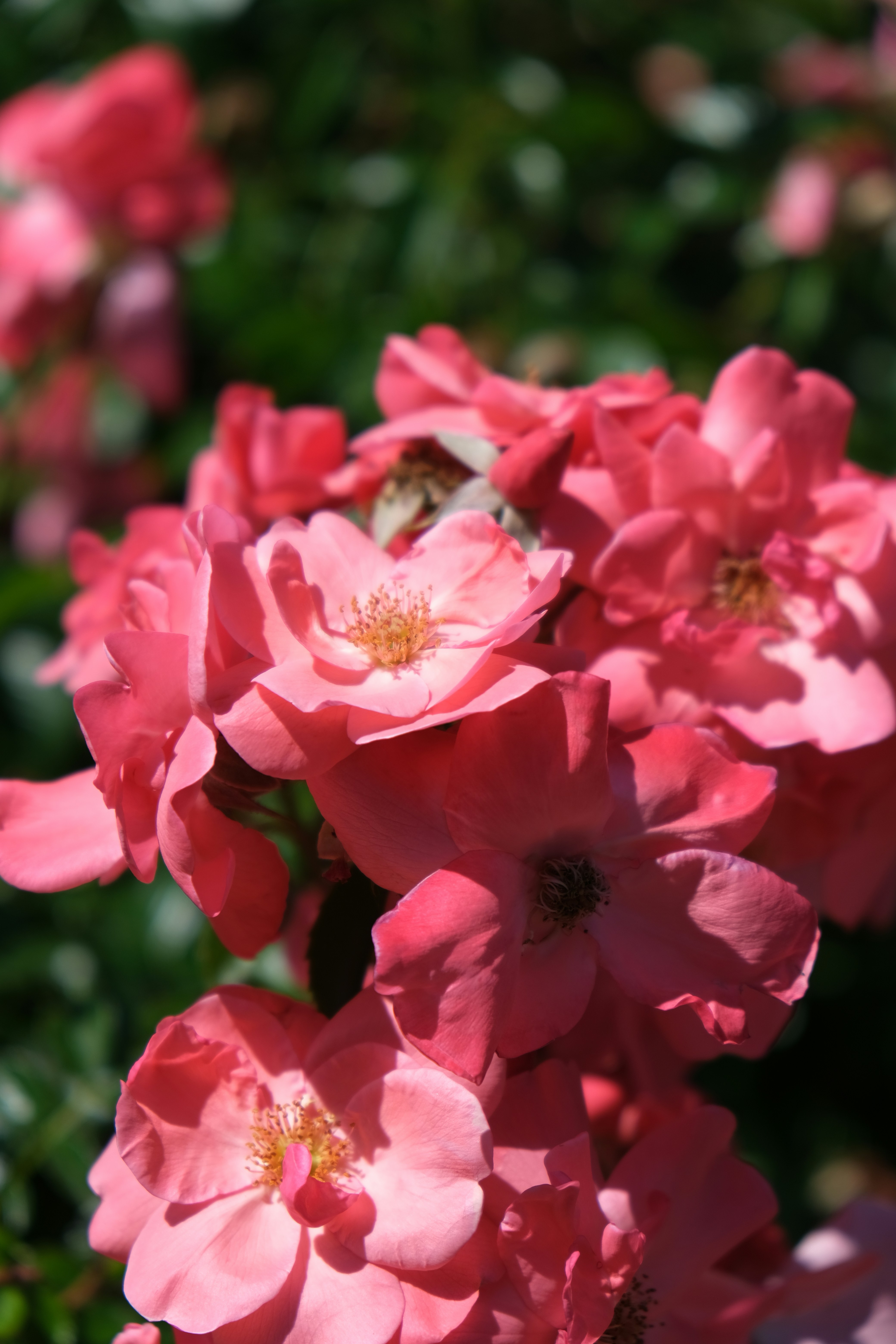 Photo by filming_co2022