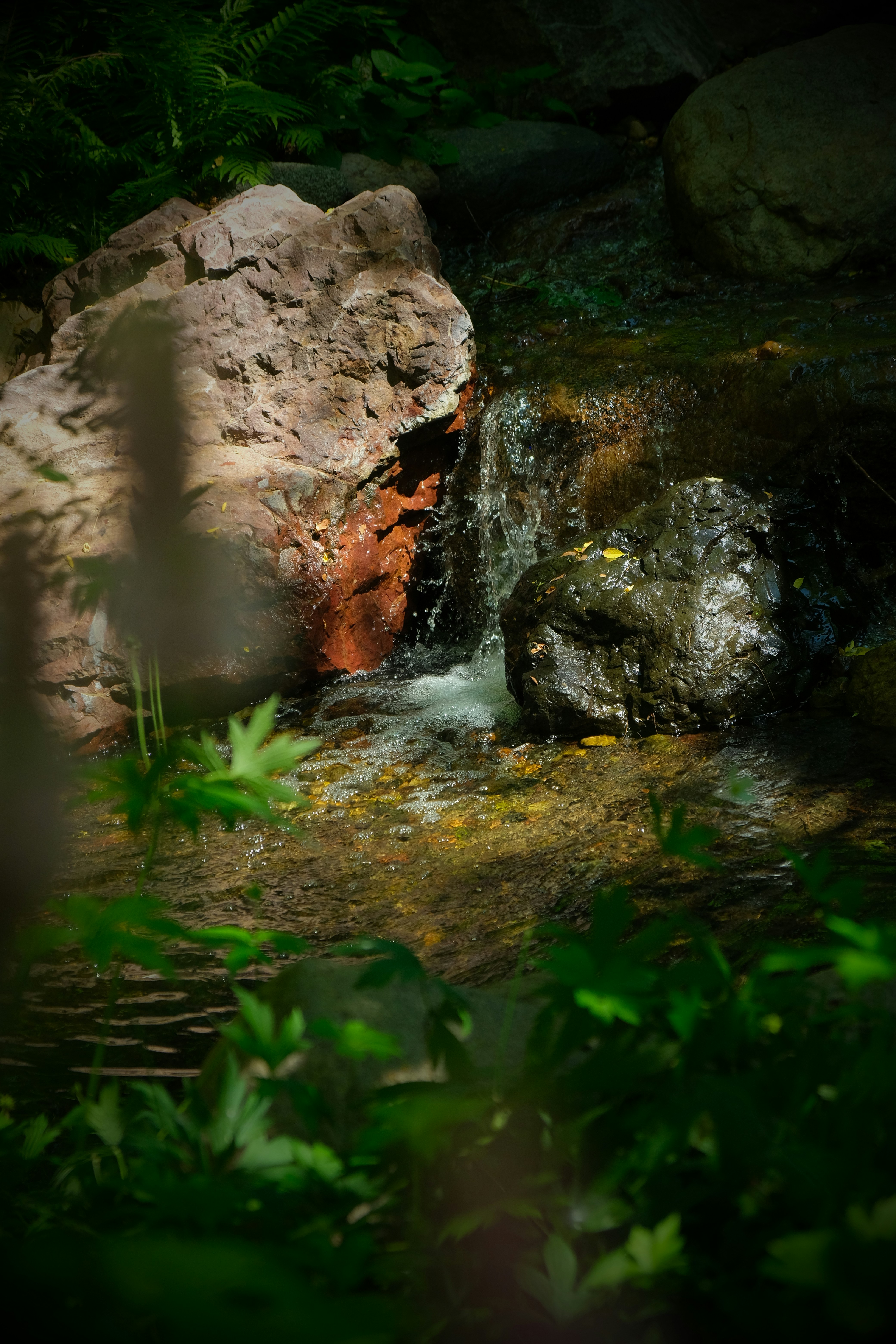 Photo by filming_co2022