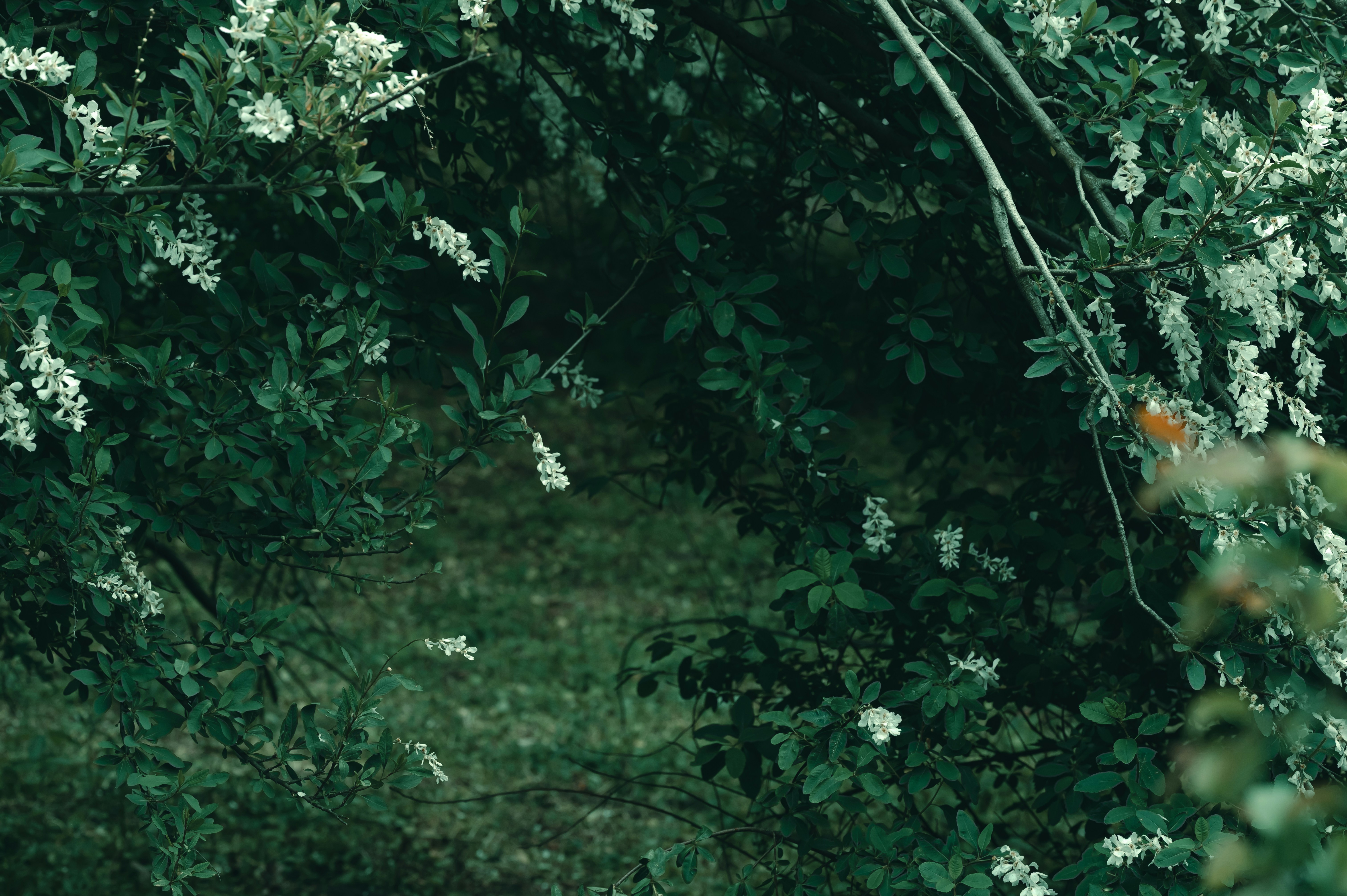 Photo by volodymyr_leush