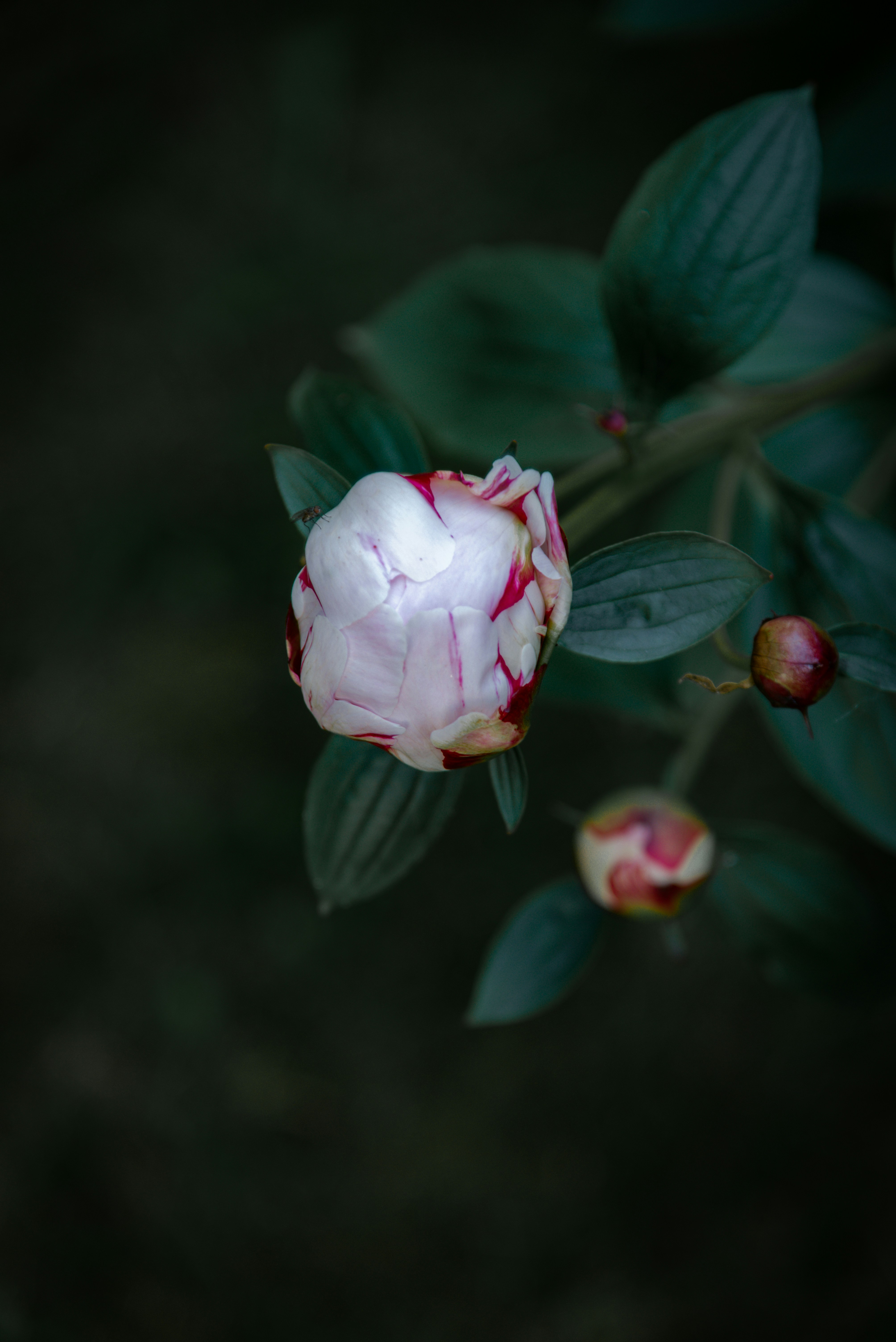 Photo by malwinanogaj