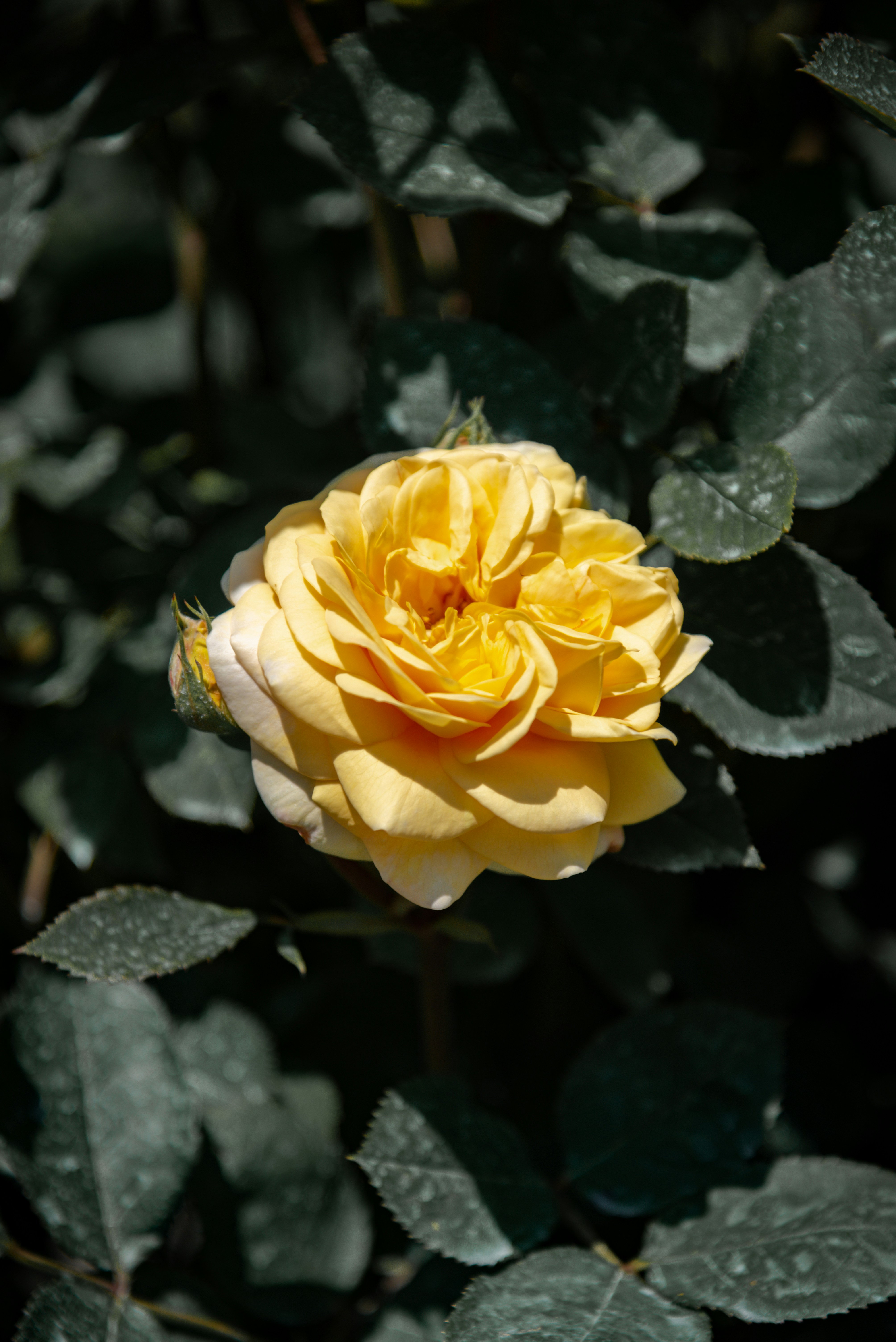 Photo by malwinanogaj