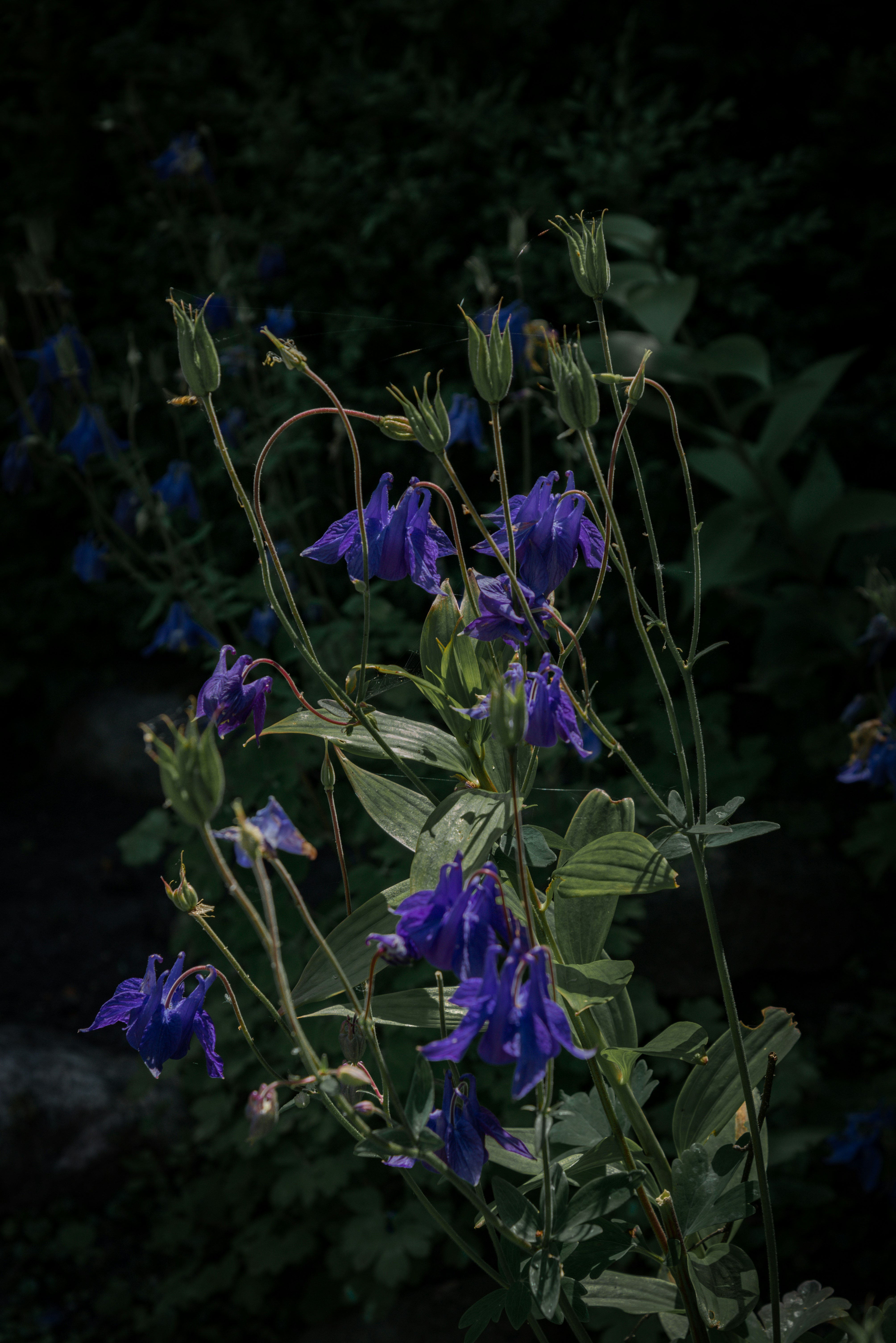 Photo by malwinanogaj