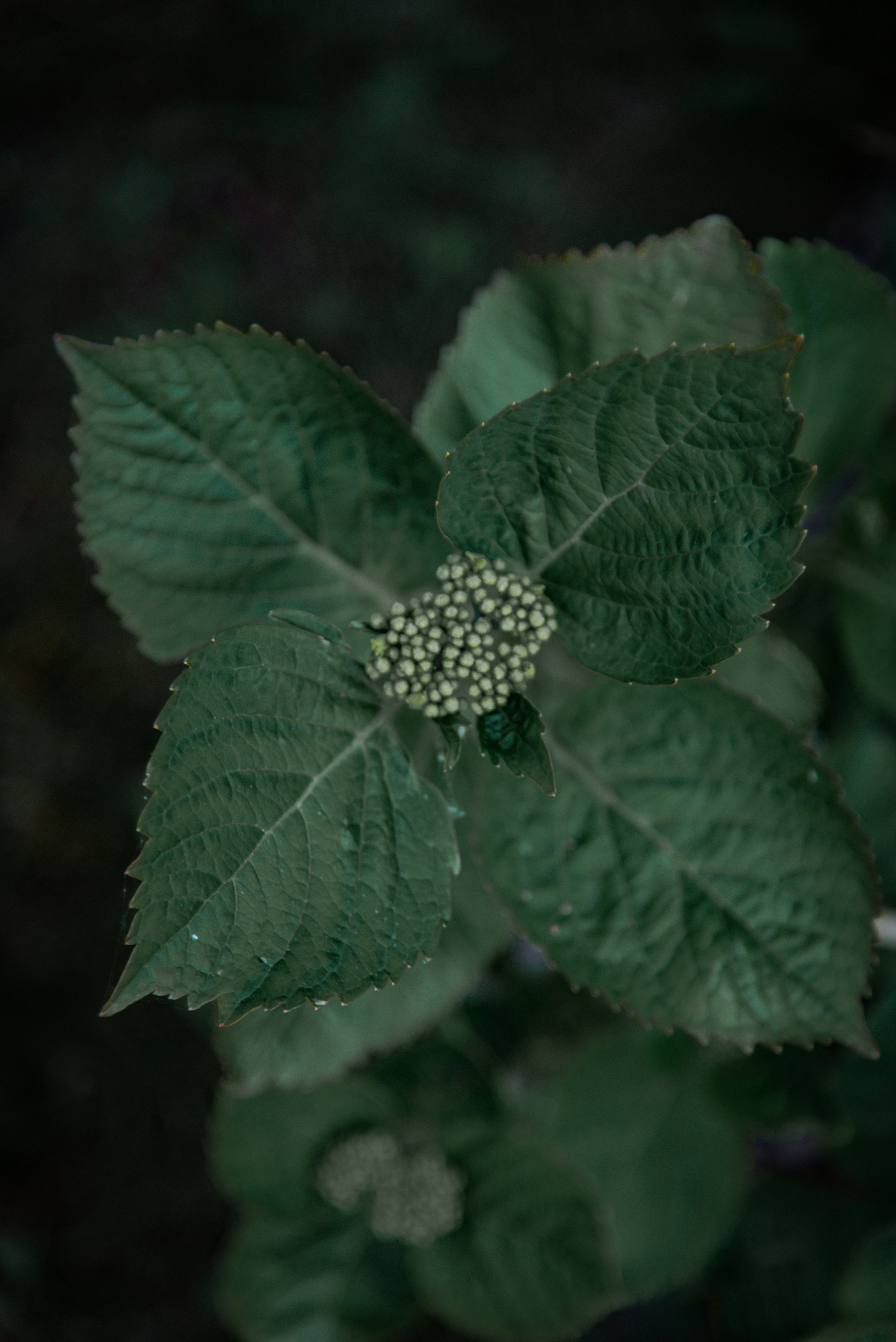 Photo by malwinanogaj