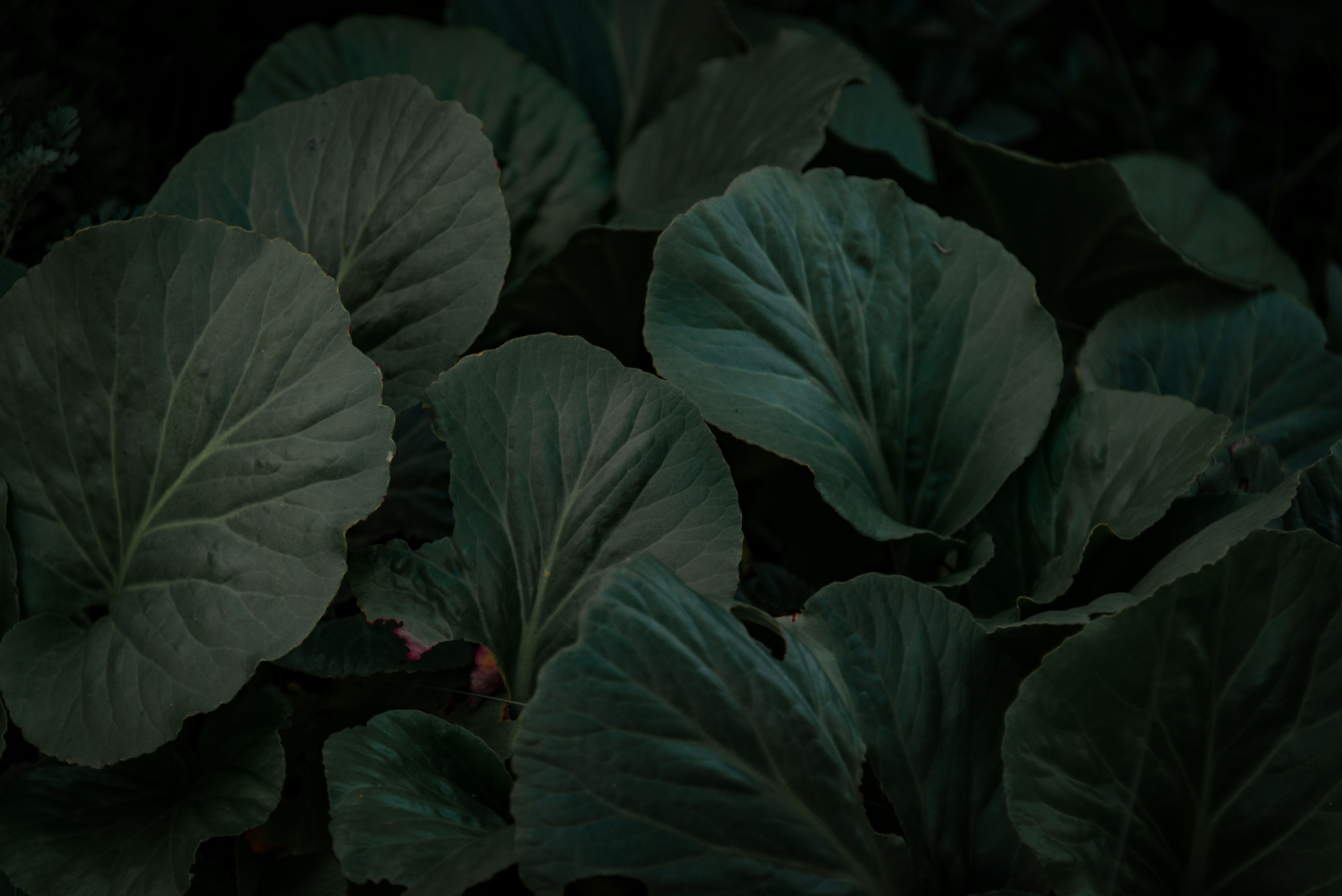 Photo by malwinanogaj