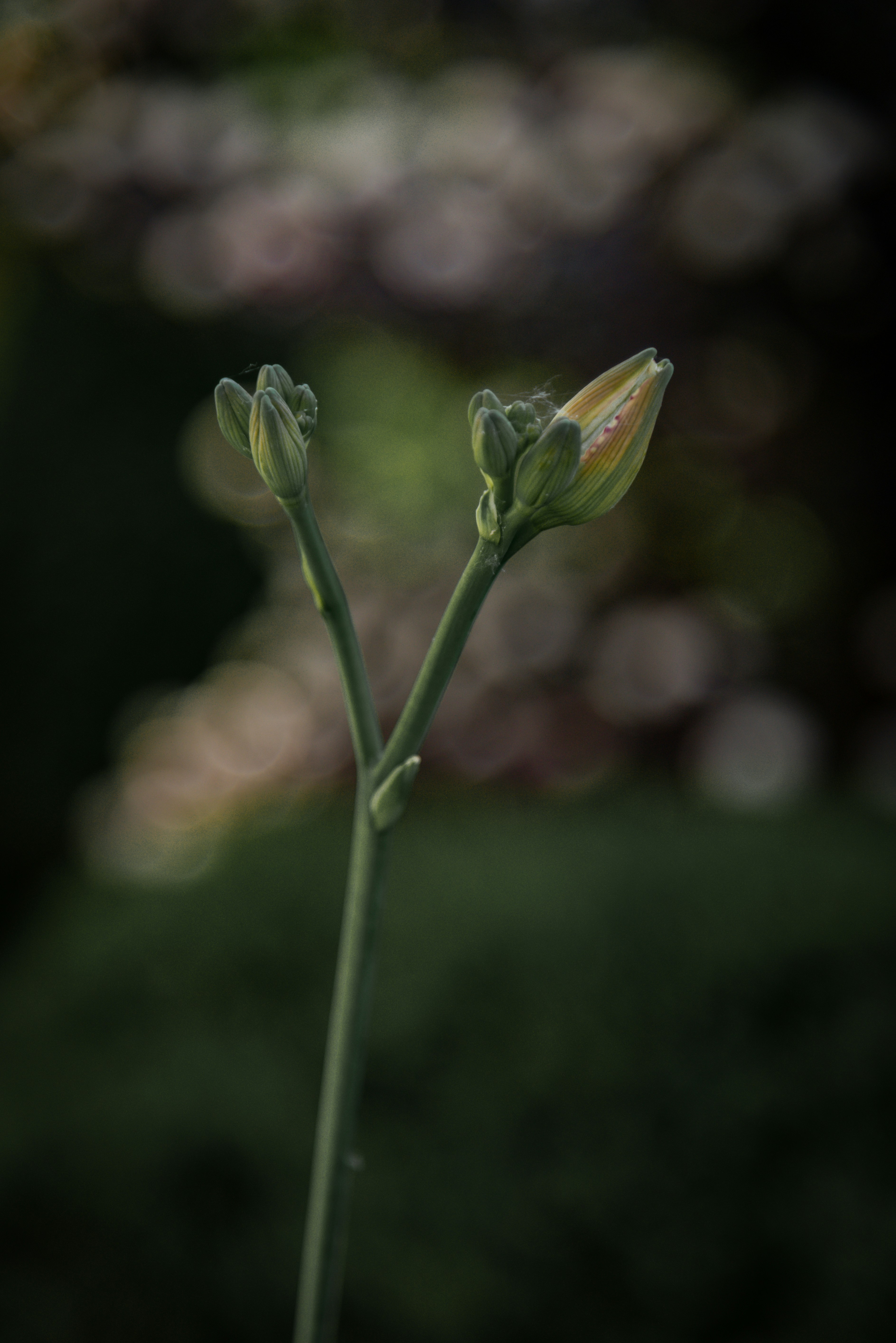 Photo by malwinanogaj