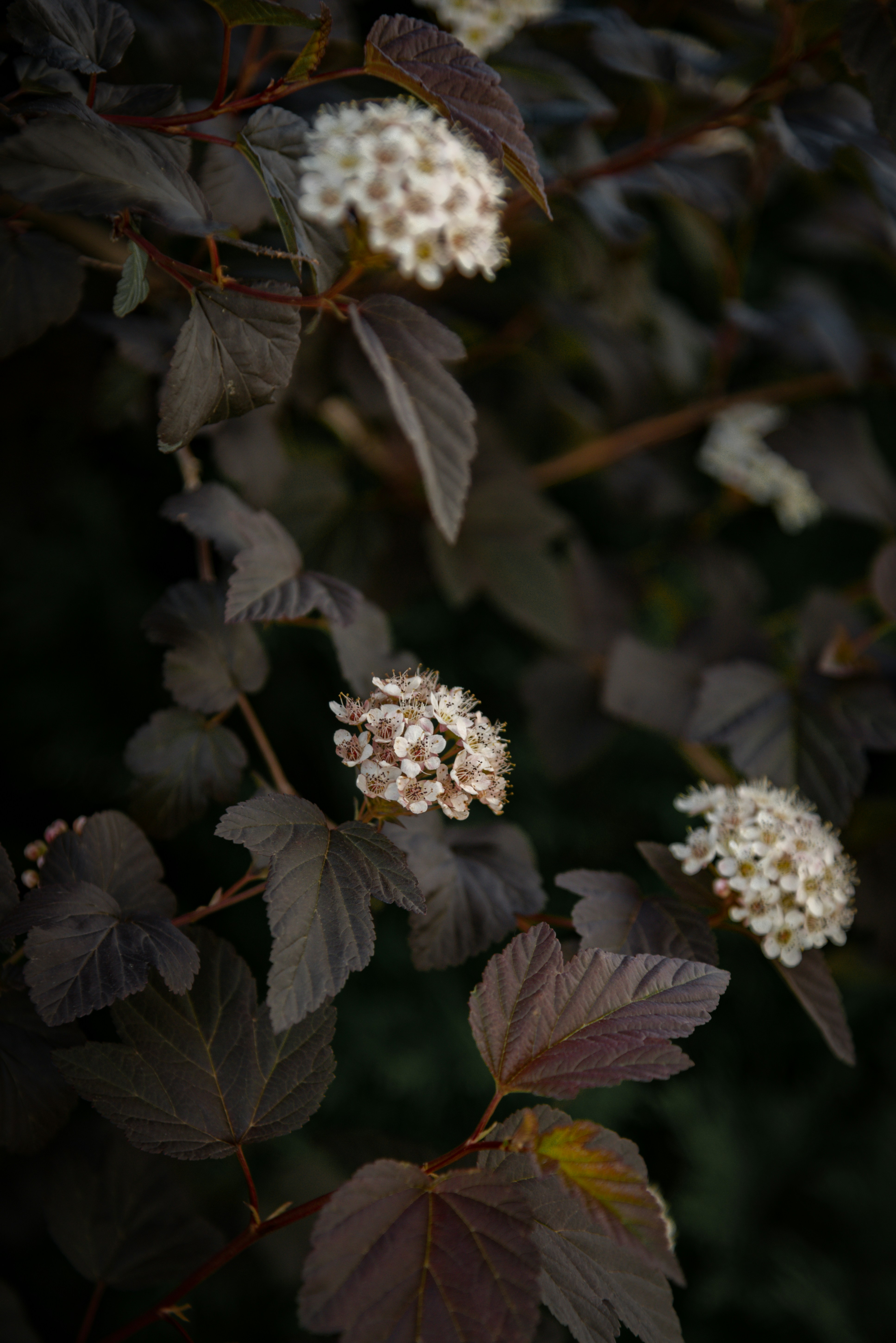 Photo by malwinanogaj