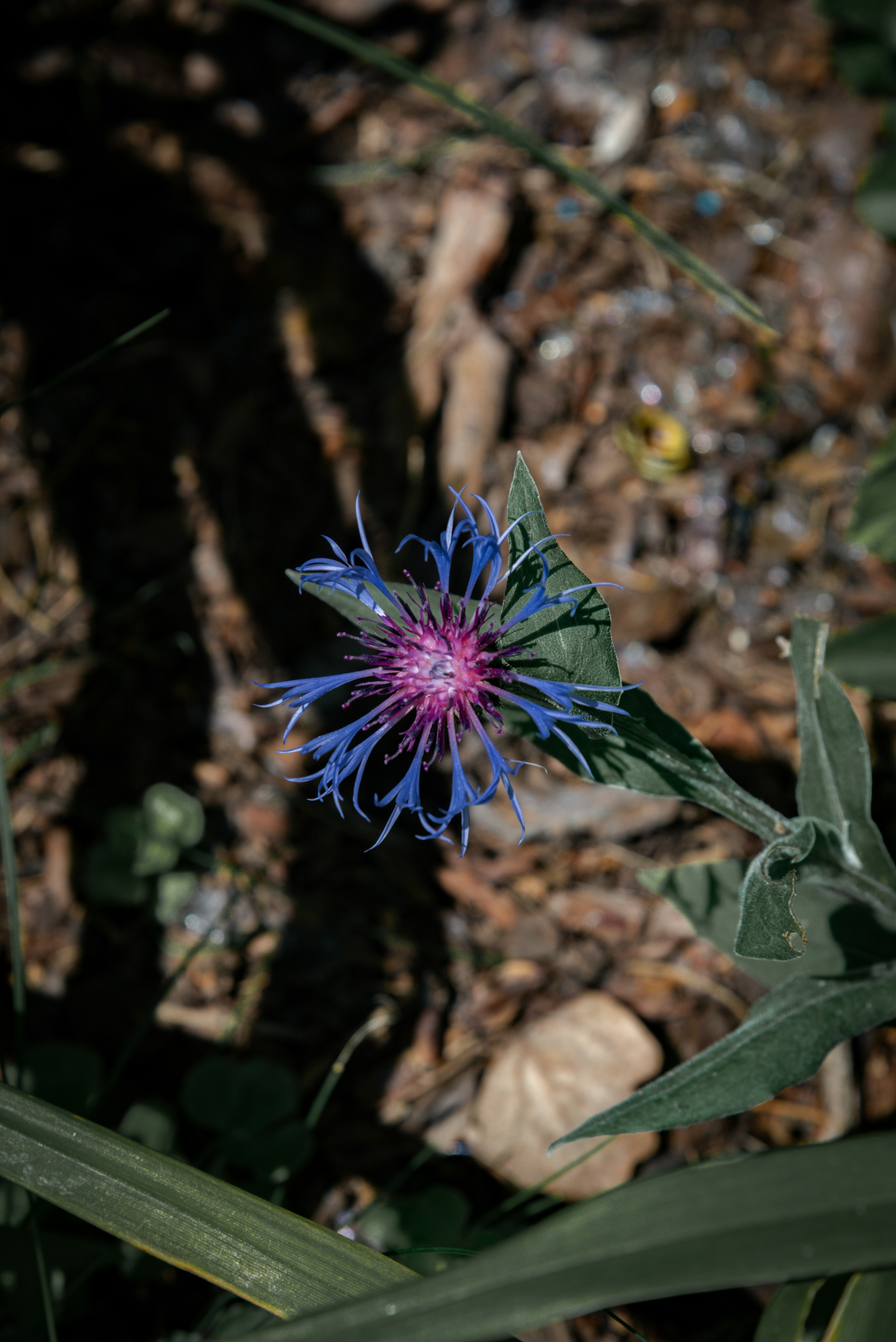 Photo by malwinanogaj