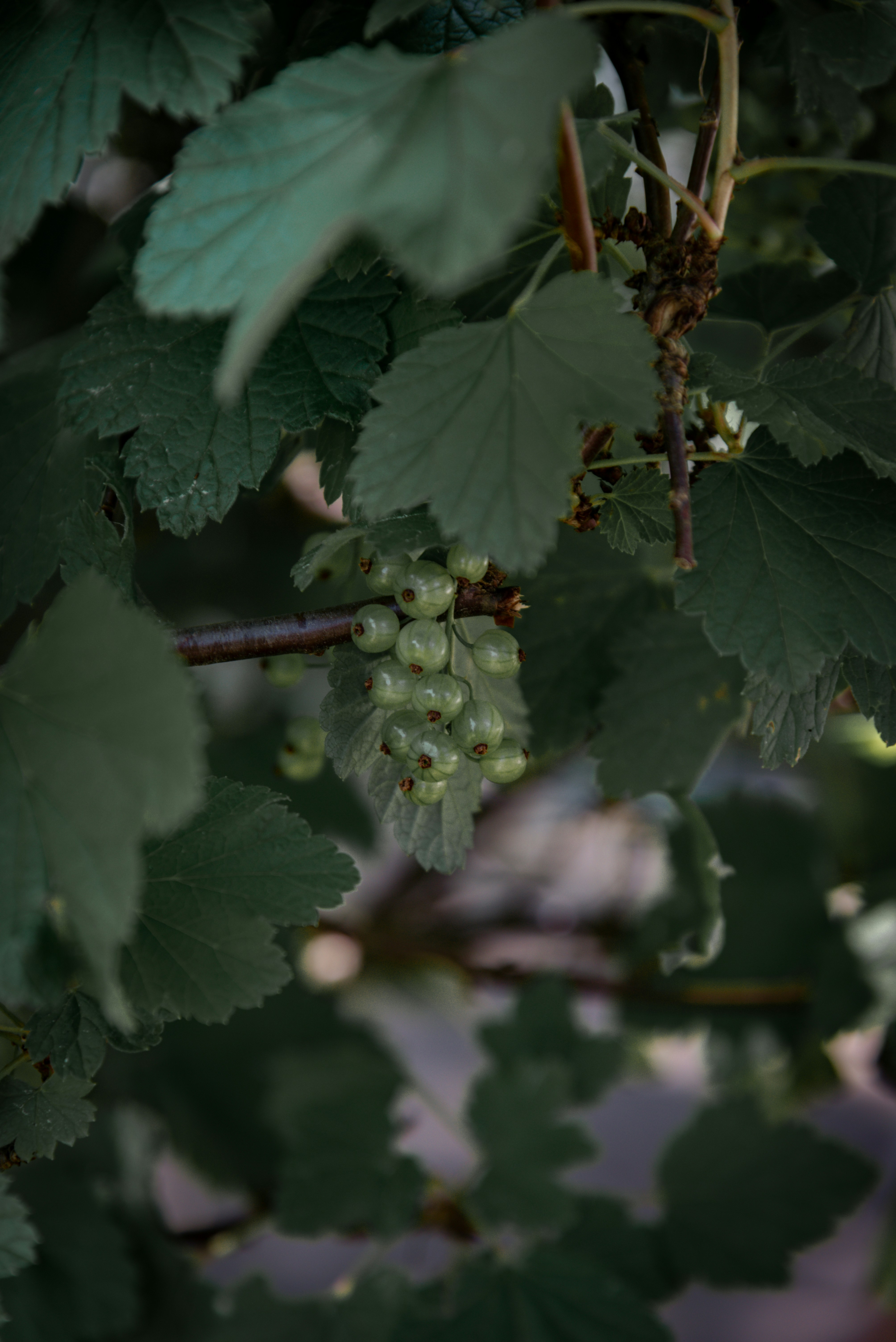 Photo by malwinanogaj