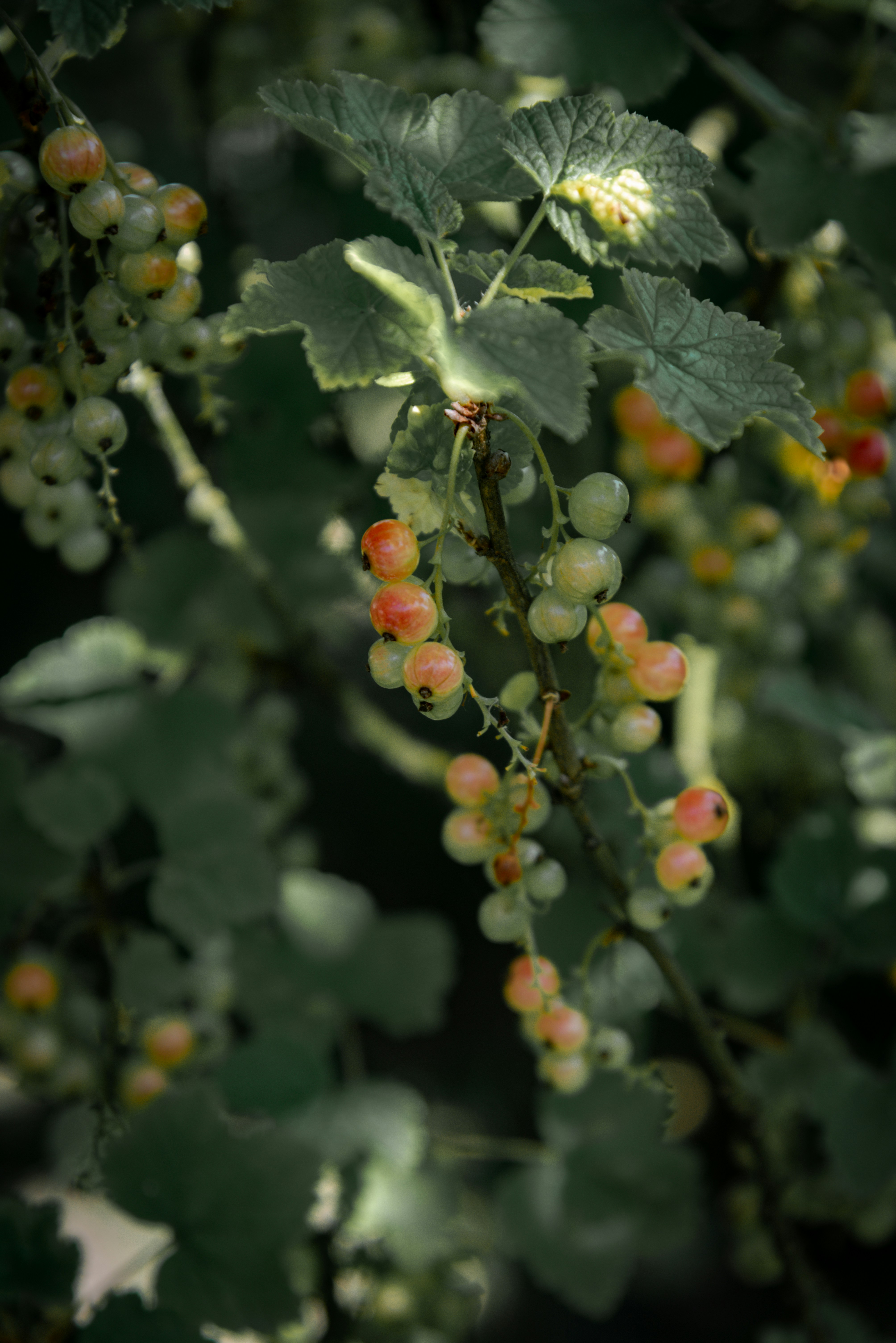 Photo by malwinanogaj