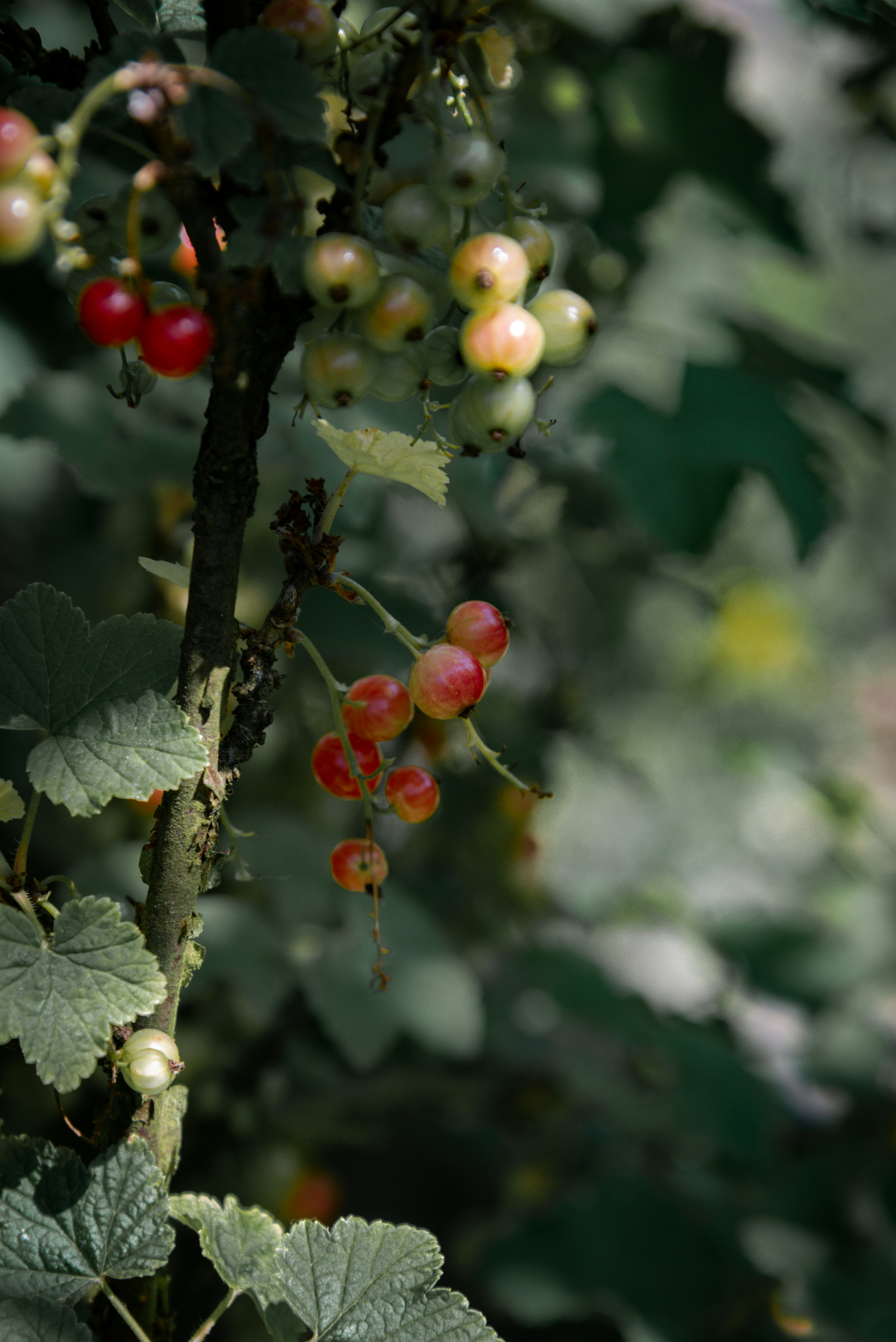 Photo by malwinanogaj