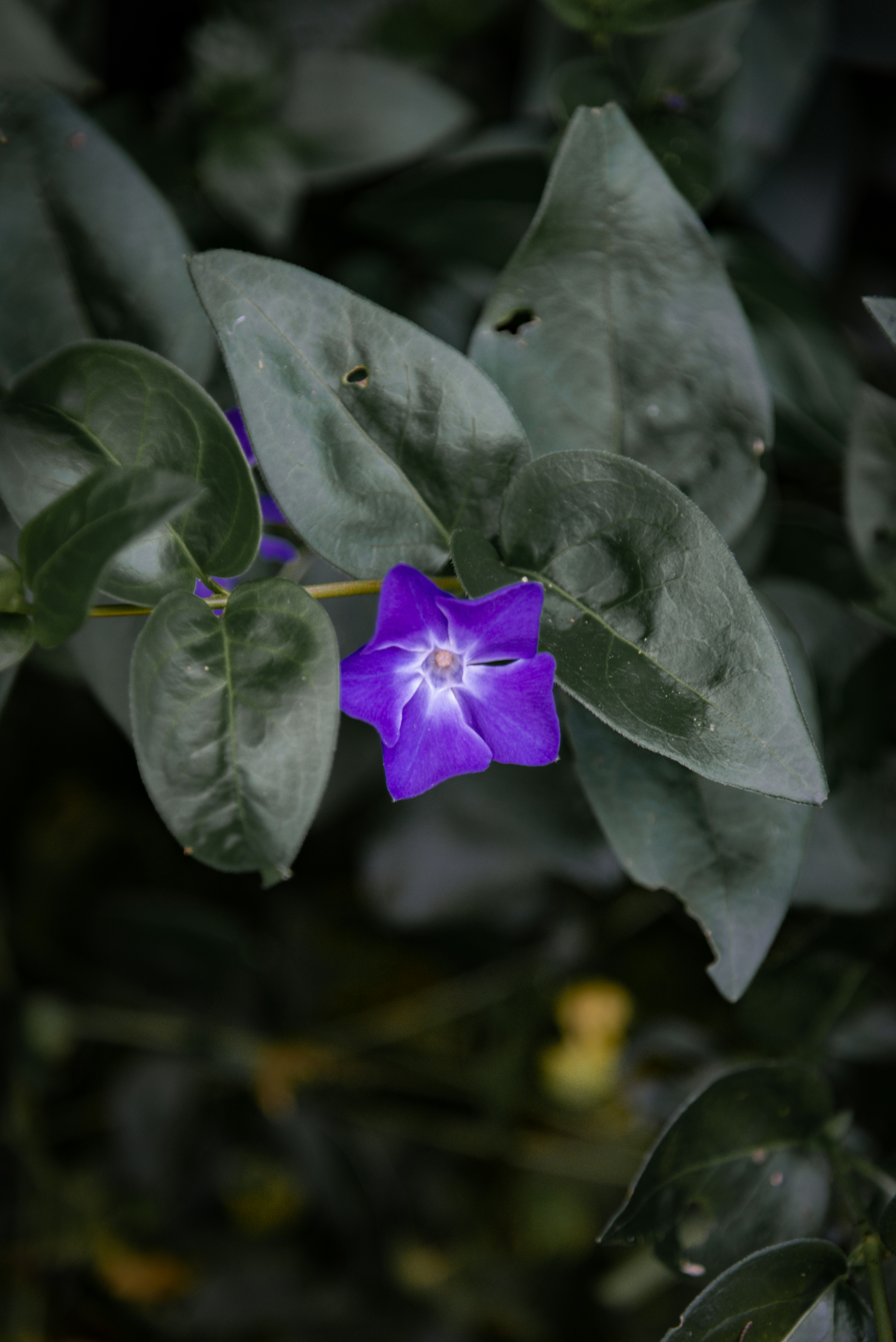 Photo by malwinanogaj