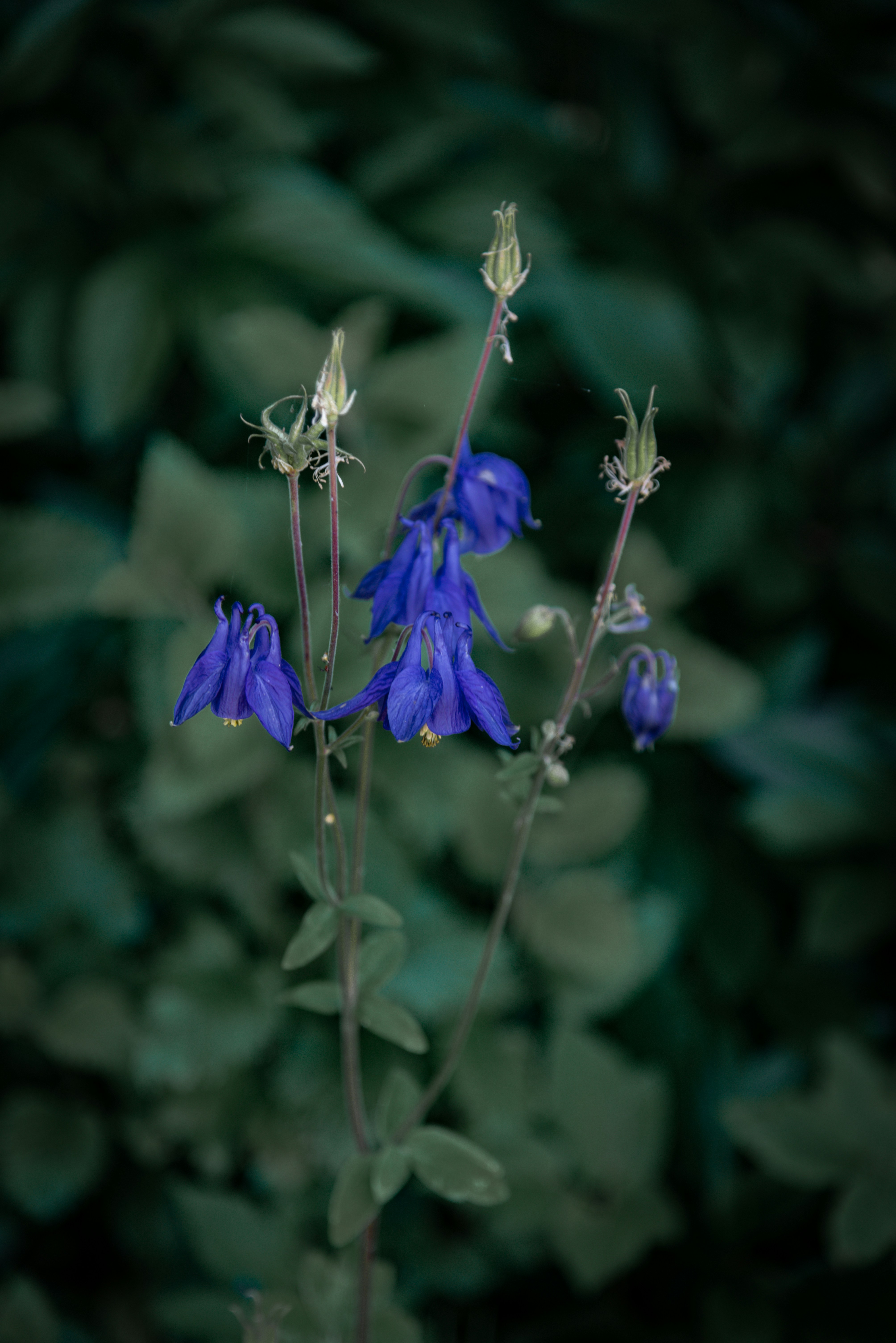 Photo by malwinanogaj