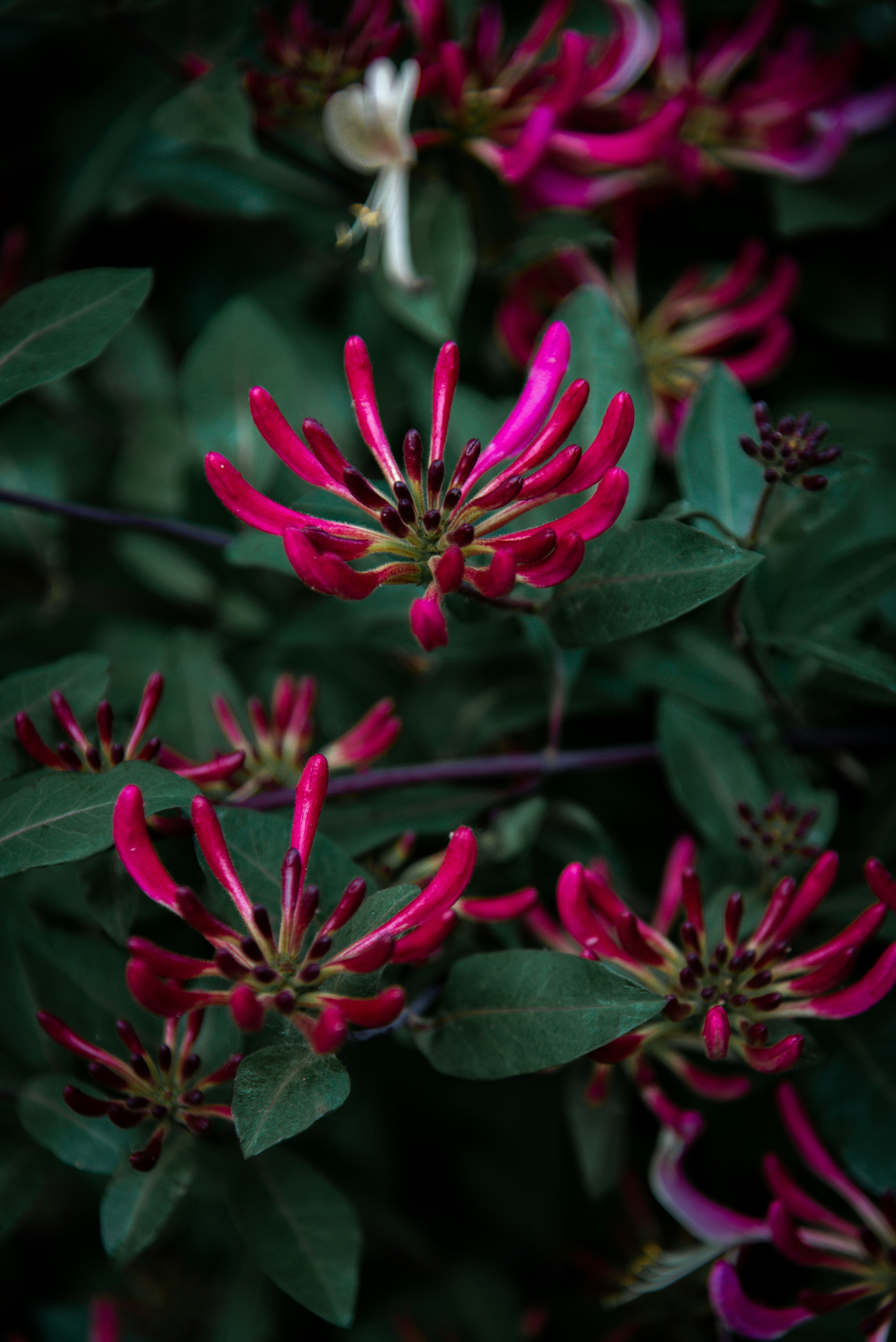 Photo by malwinanogaj