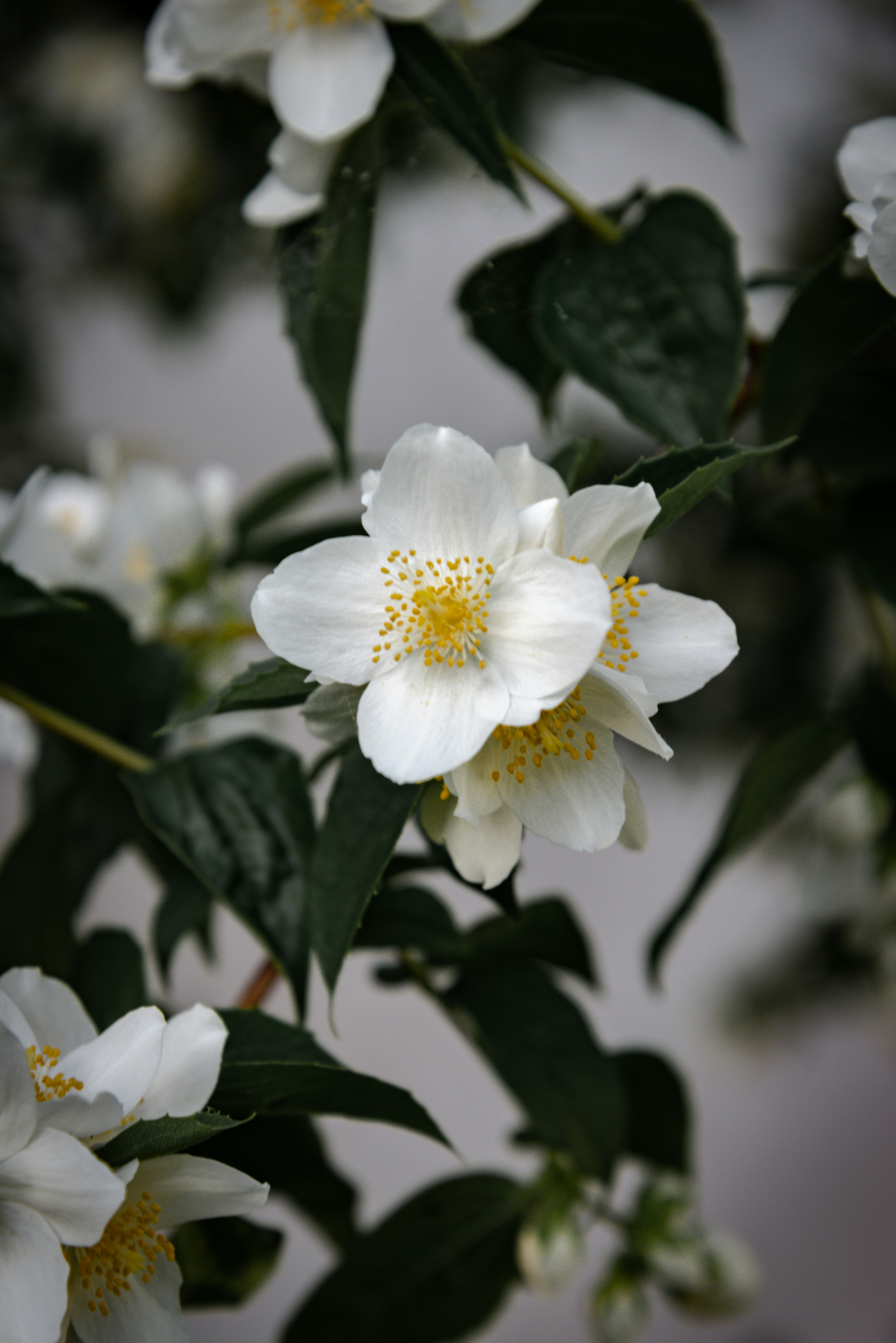 Photo by malwinanogaj