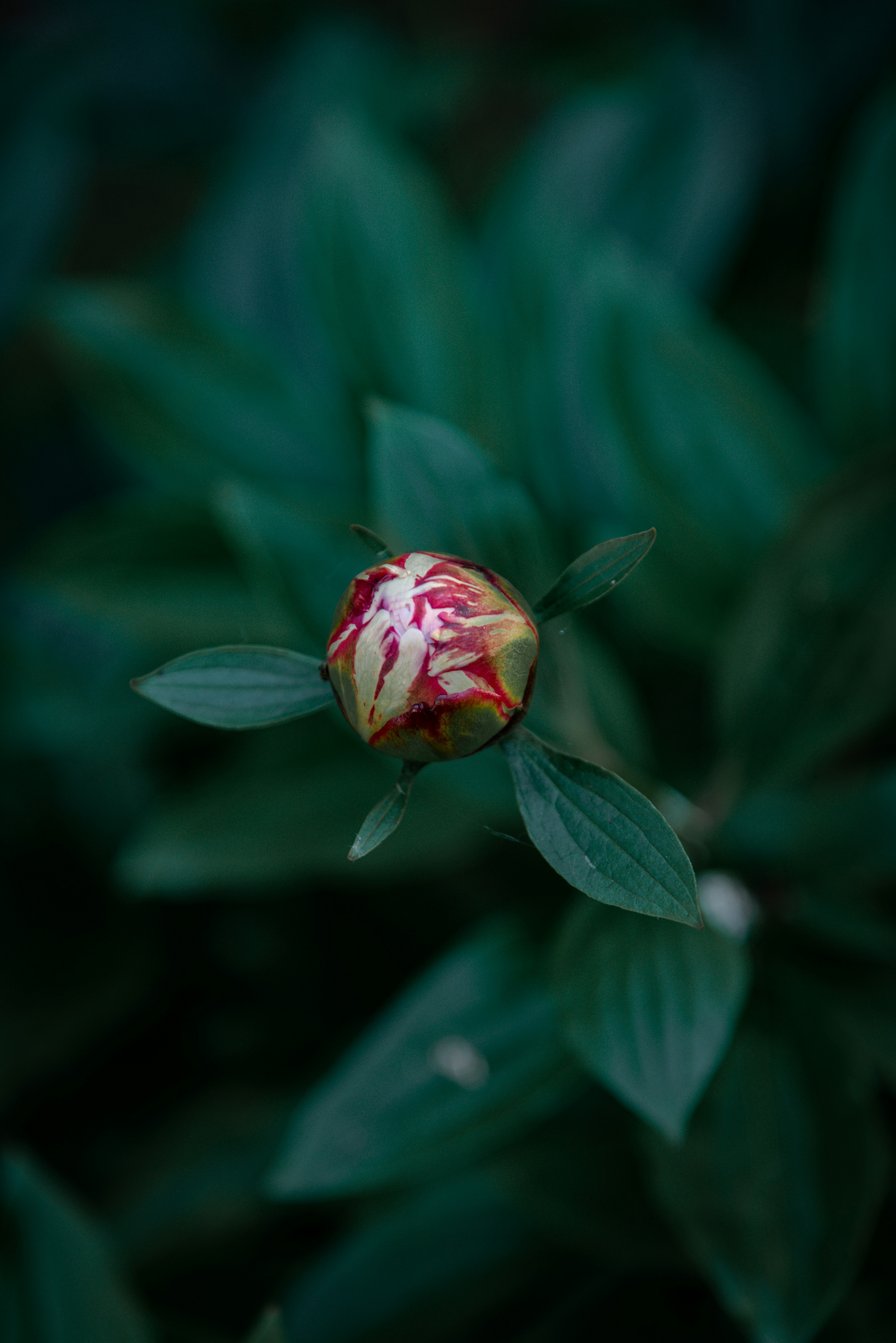 Photo by malwinanogaj