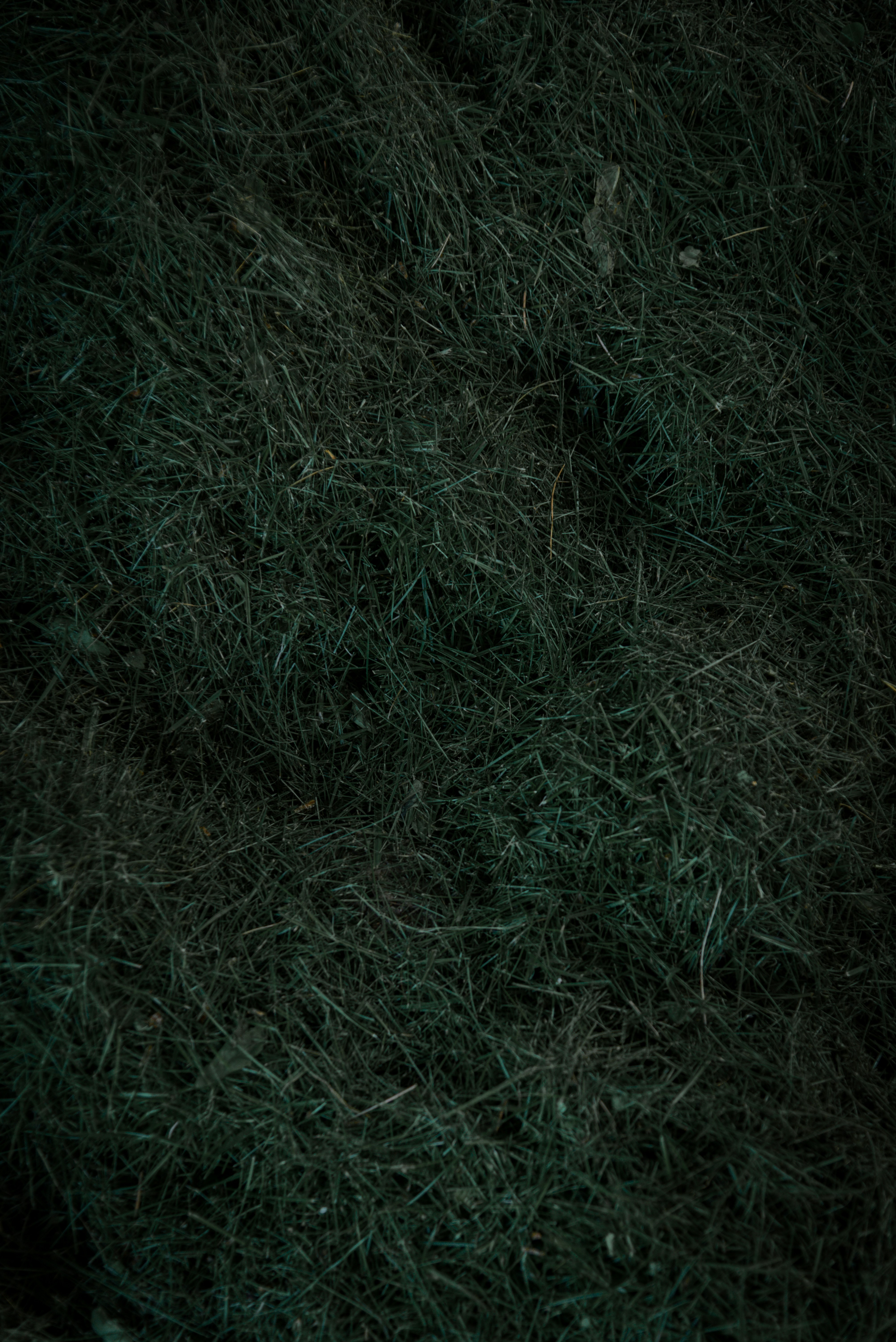 Photo by malwinanogaj