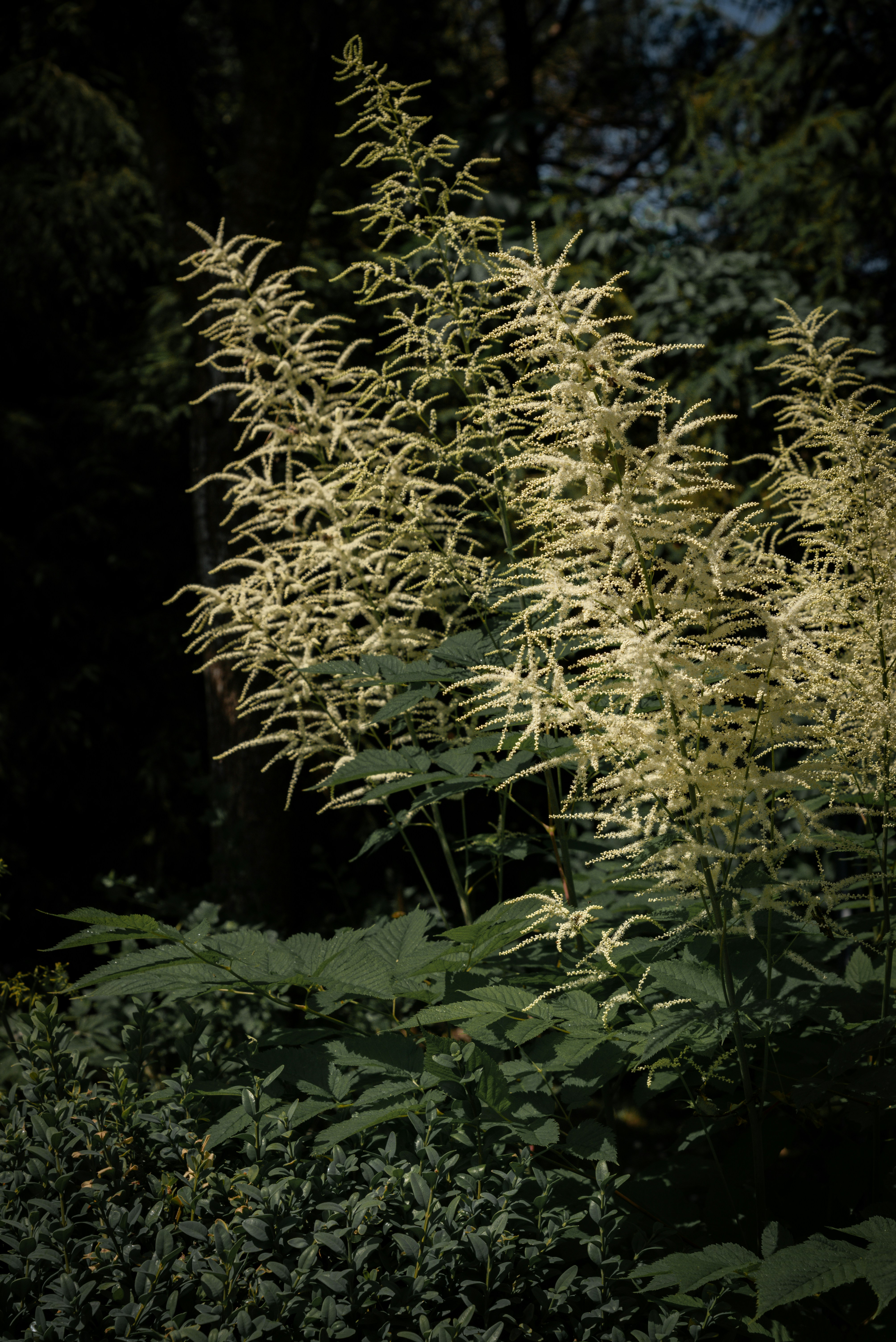 Photo by malwinanogaj