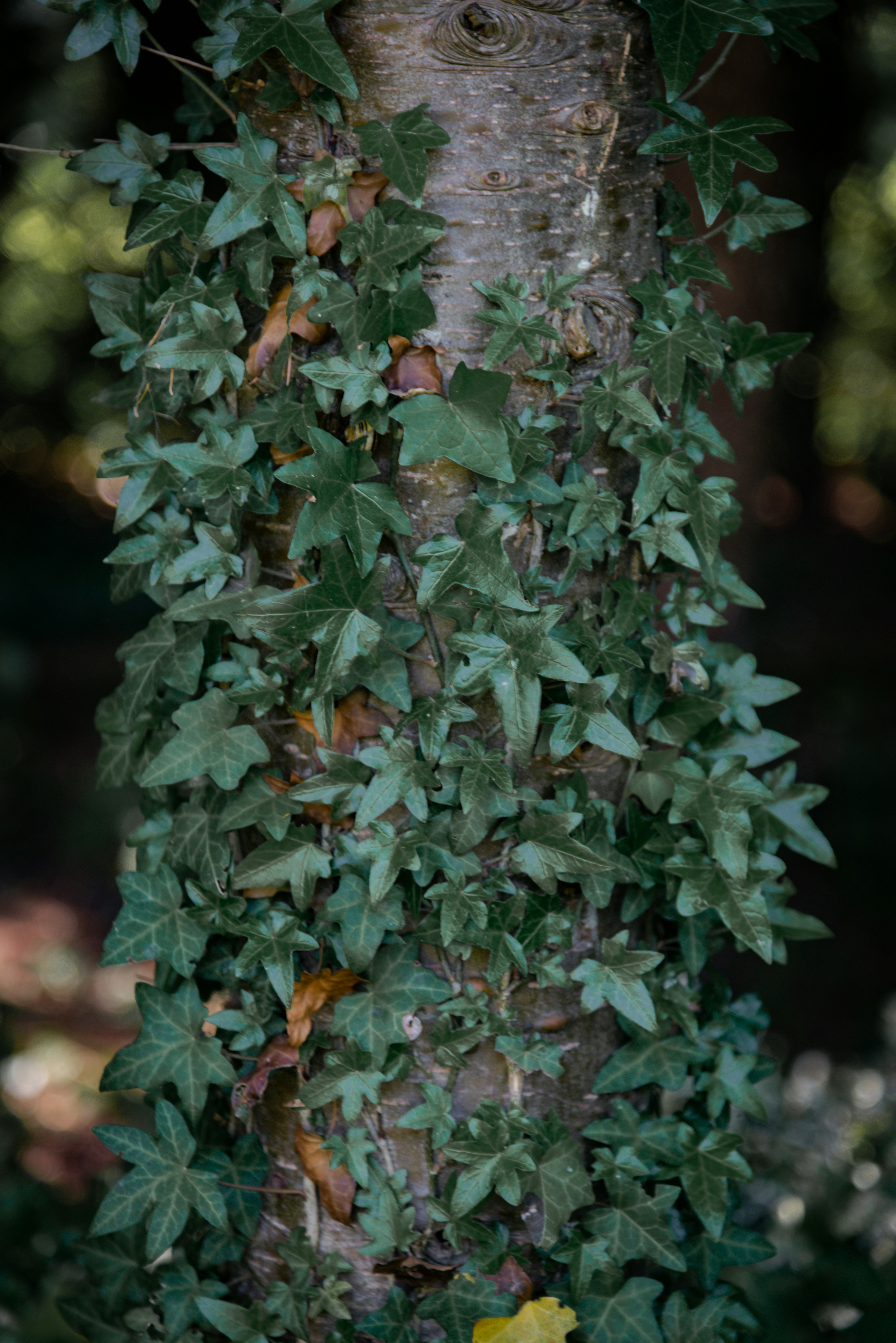 Photo by malwinanogaj