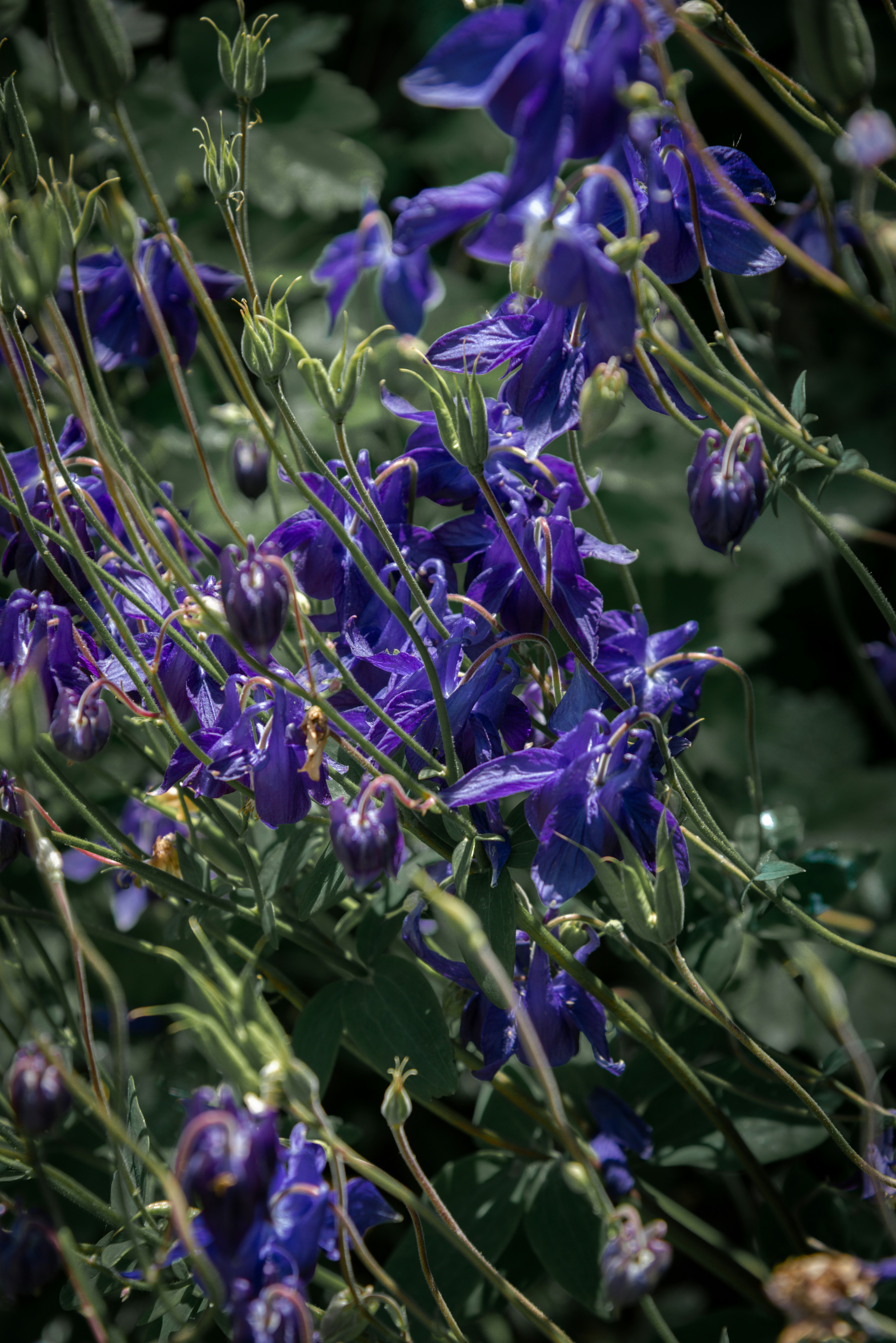 Photo by malwinanogaj