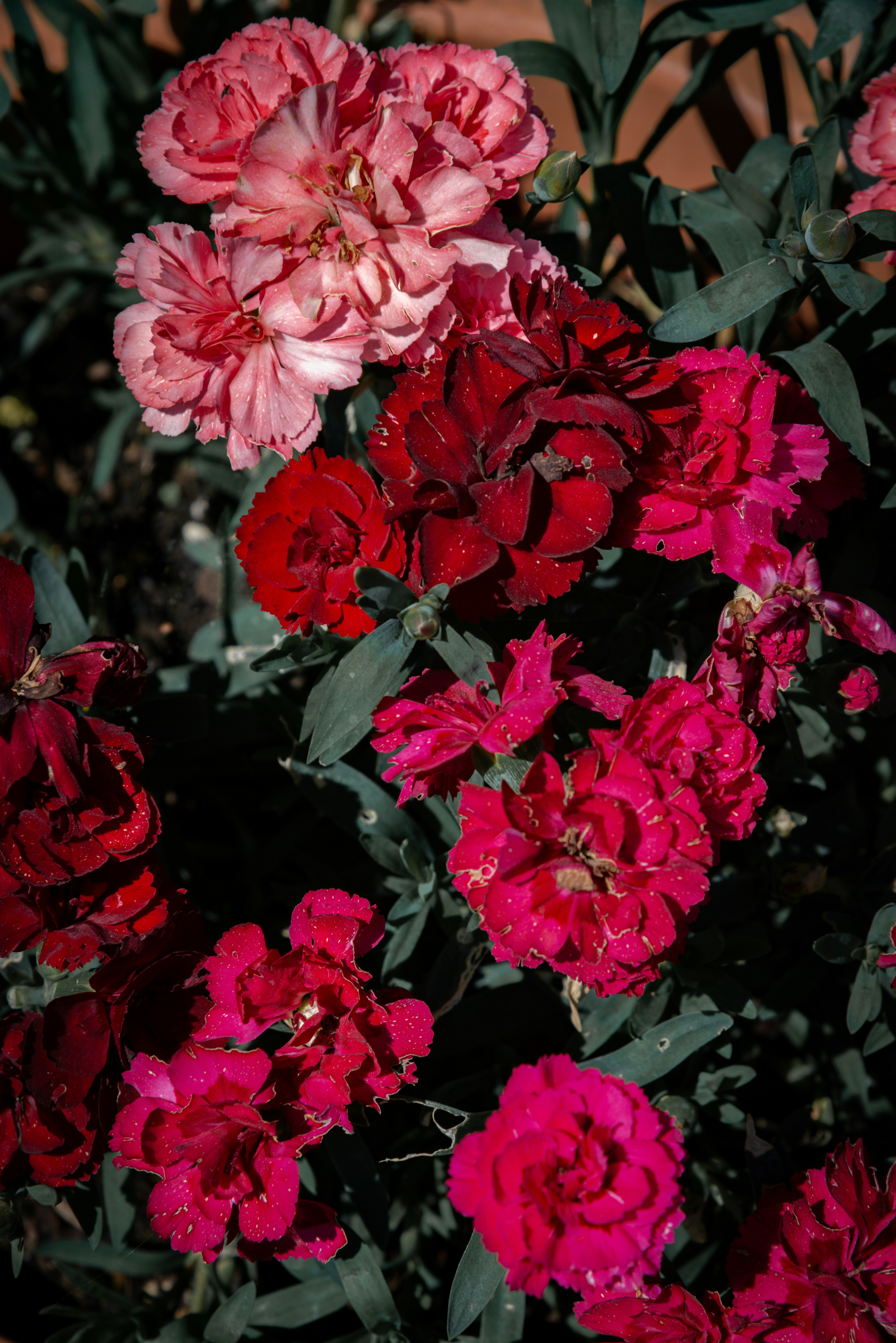 Photo by malwinanogaj