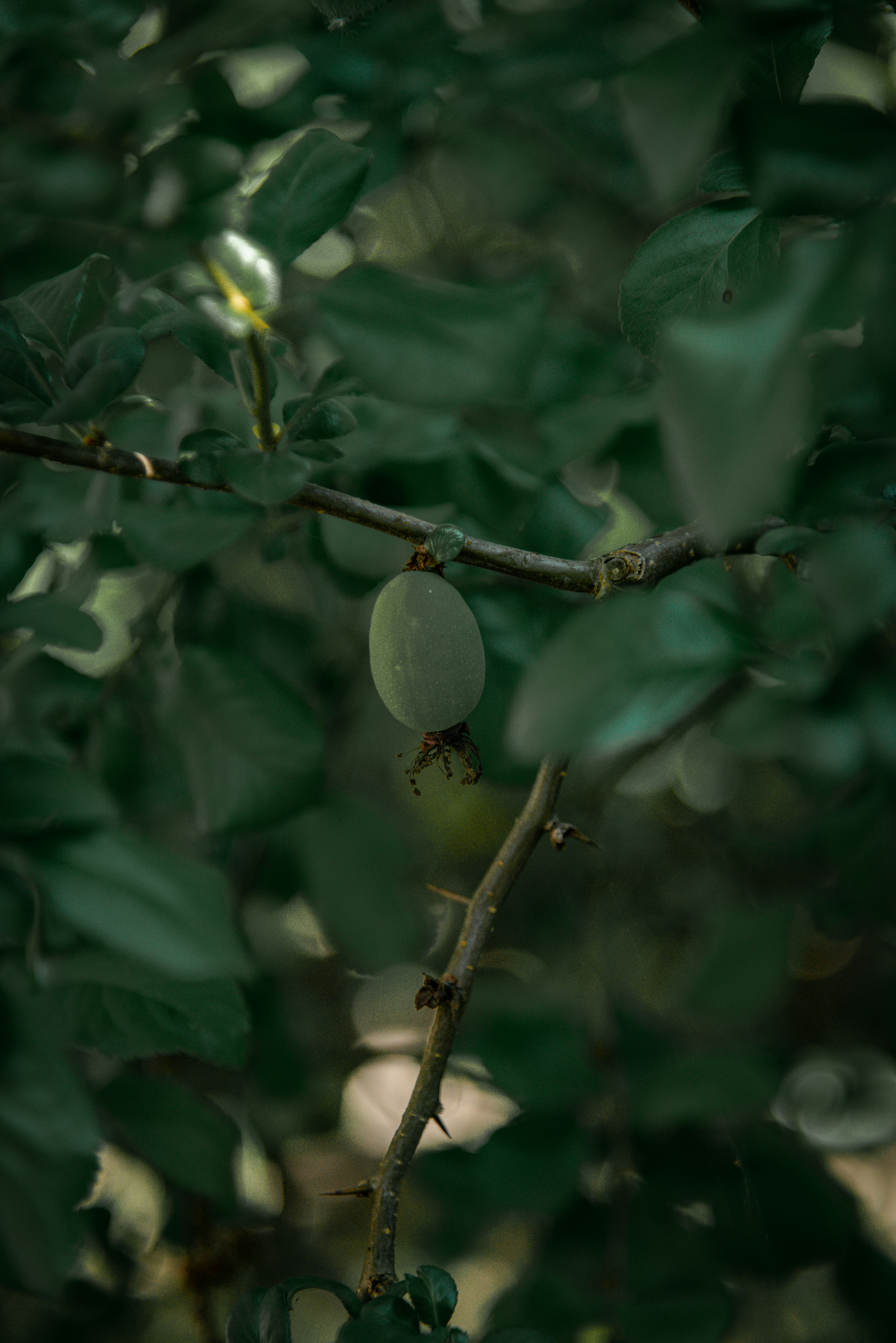 Photo by malwinanogaj