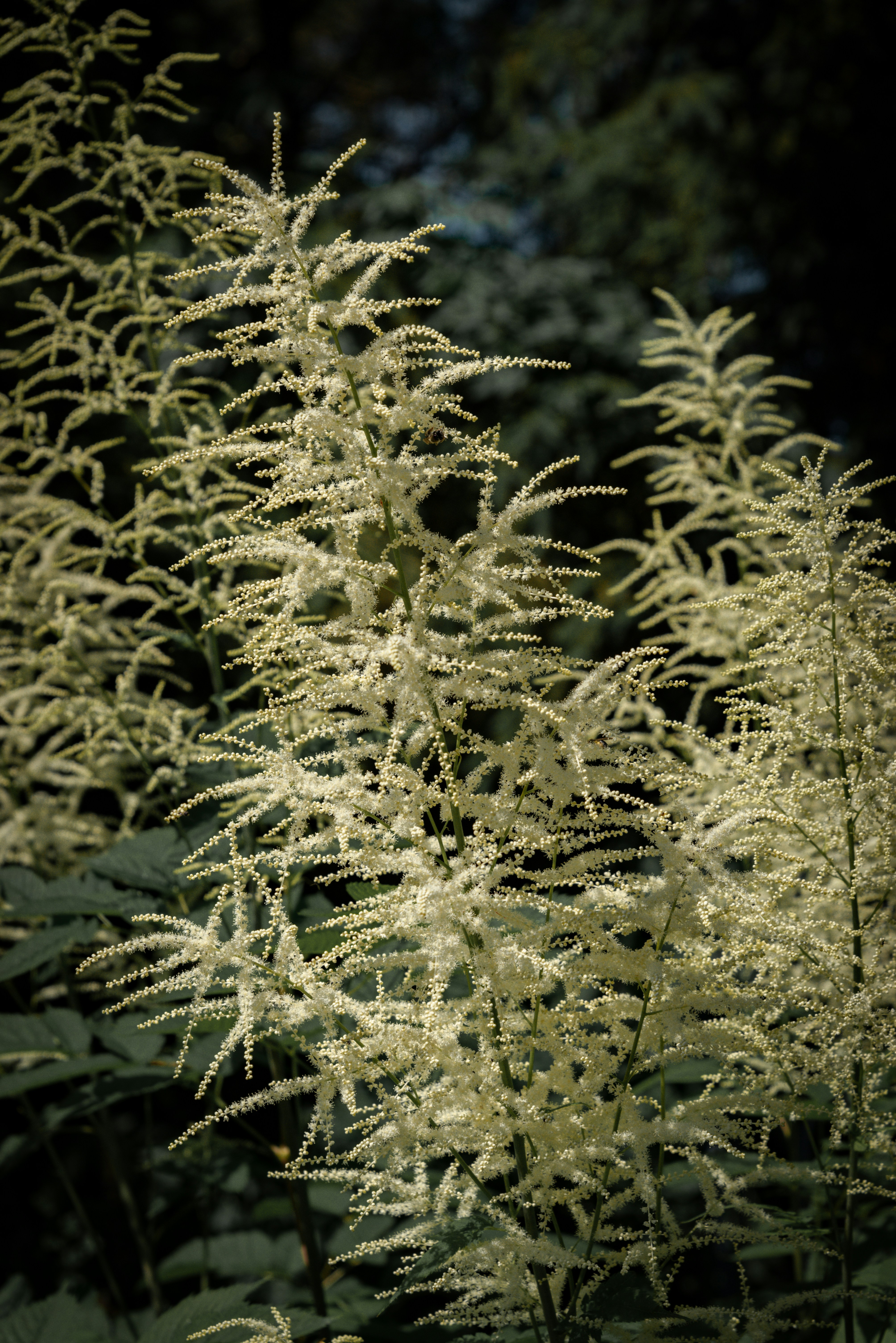 Photo by malwinanogaj