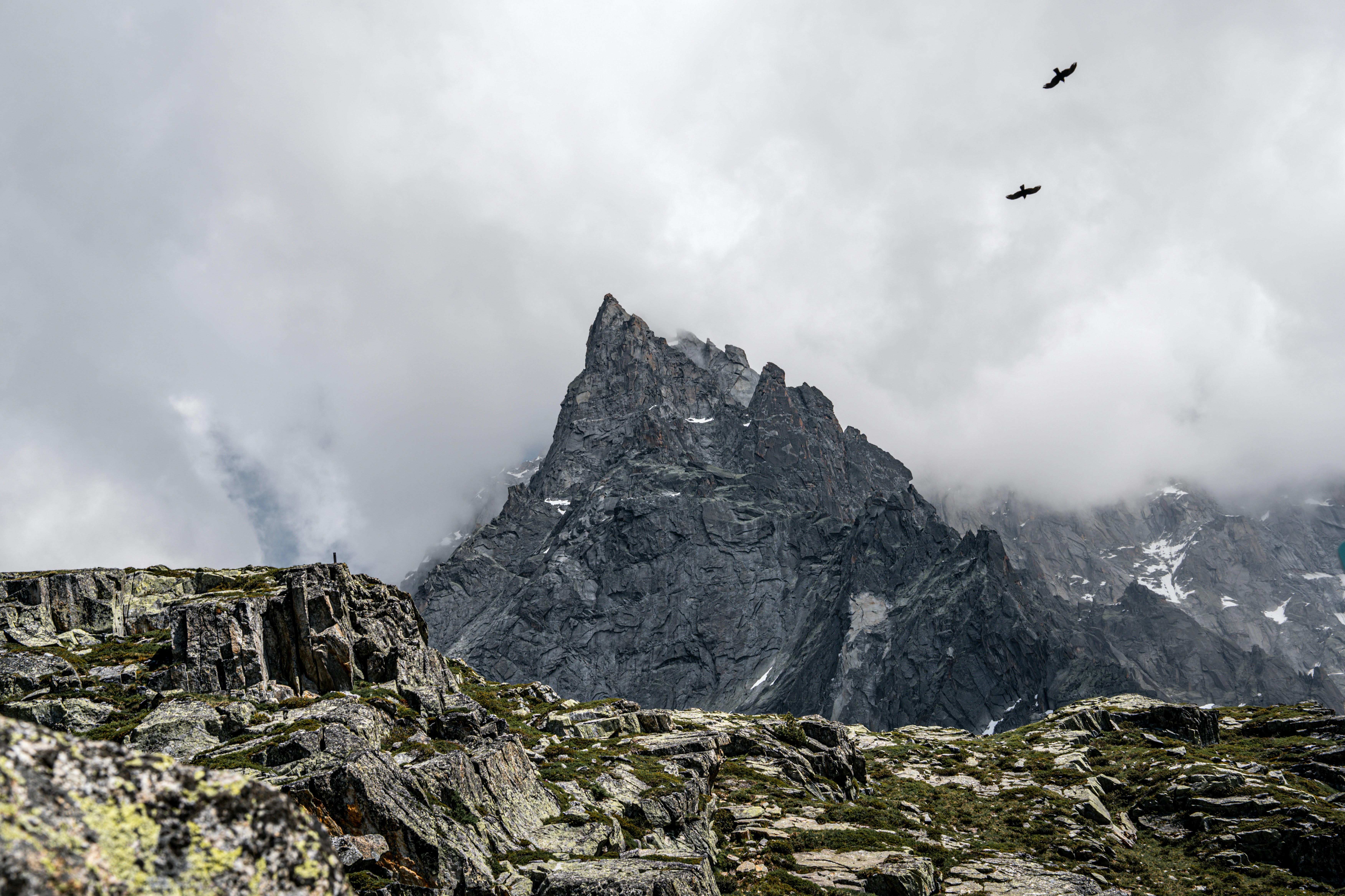 Photo by tlamtran_11