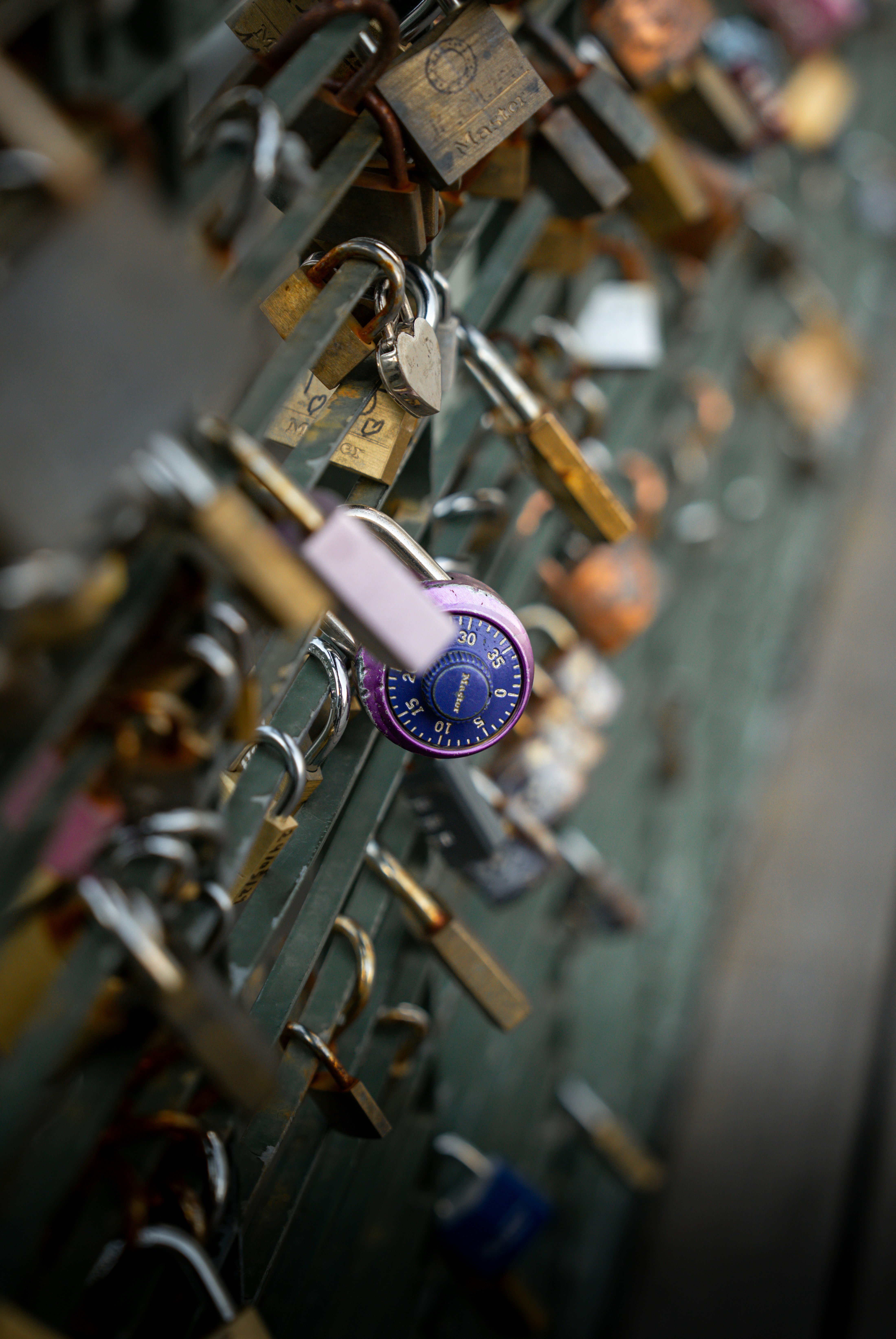 Photo by tlamtran_11