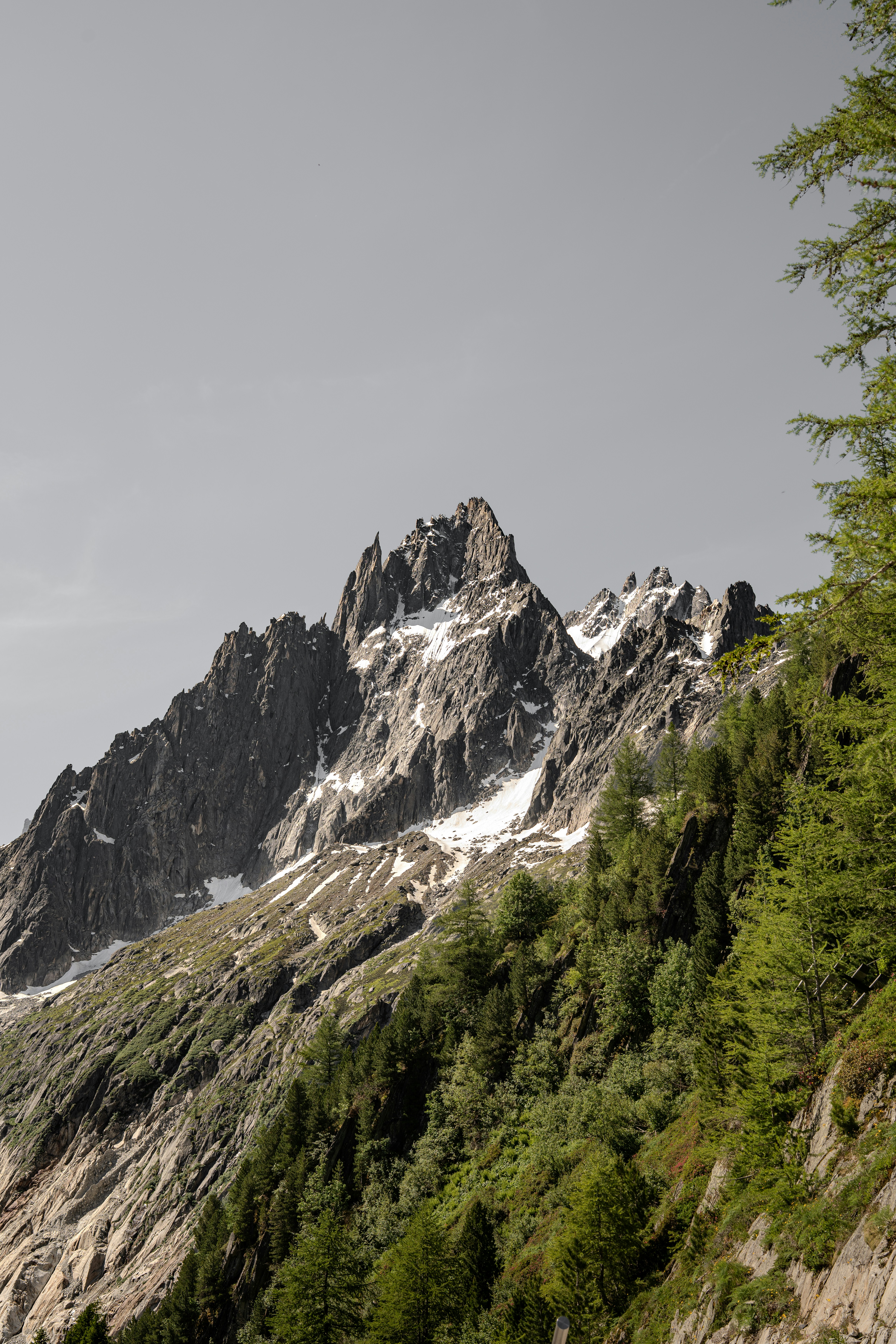 Photo by tlamtran_11