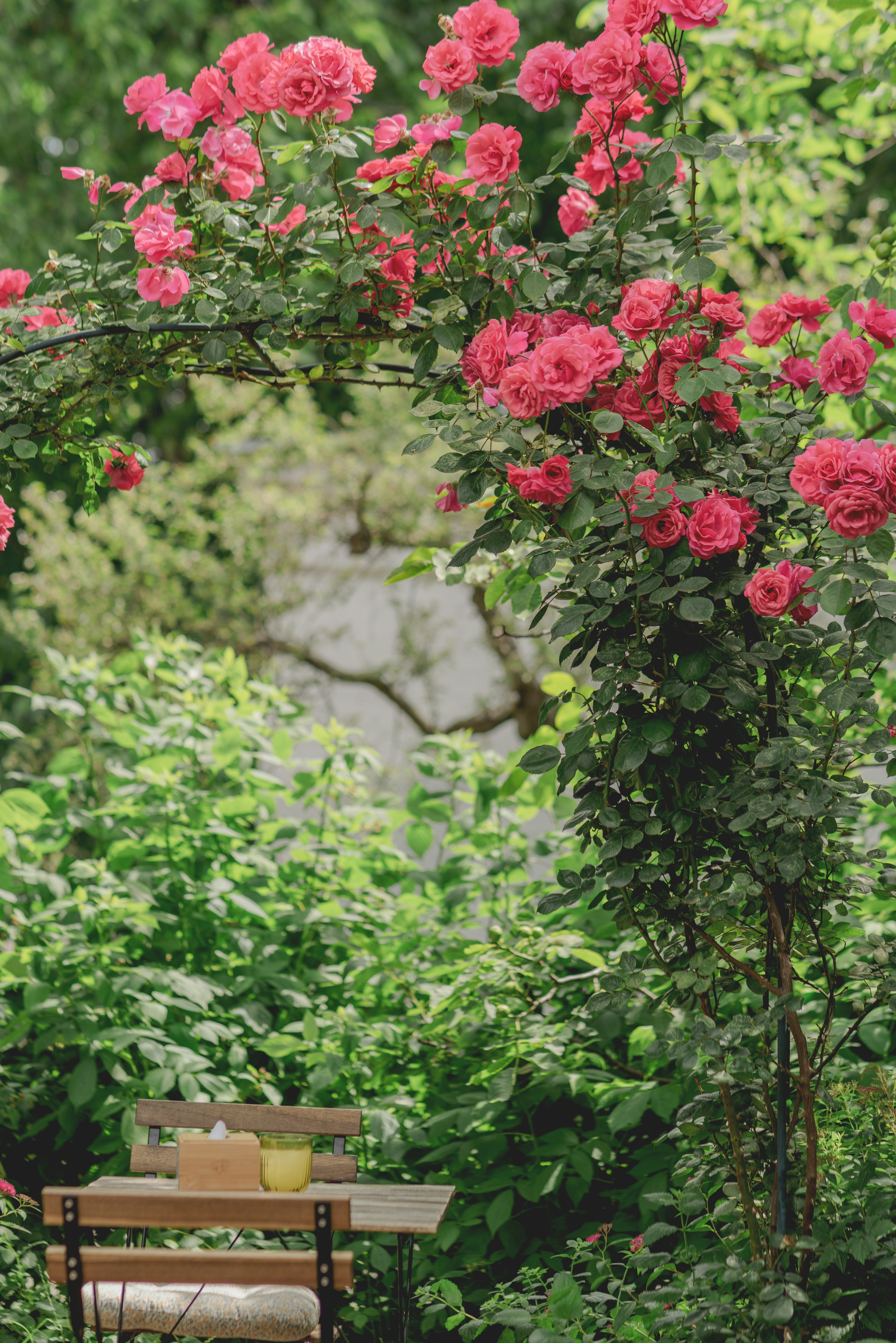 Photo by eugenivy_now