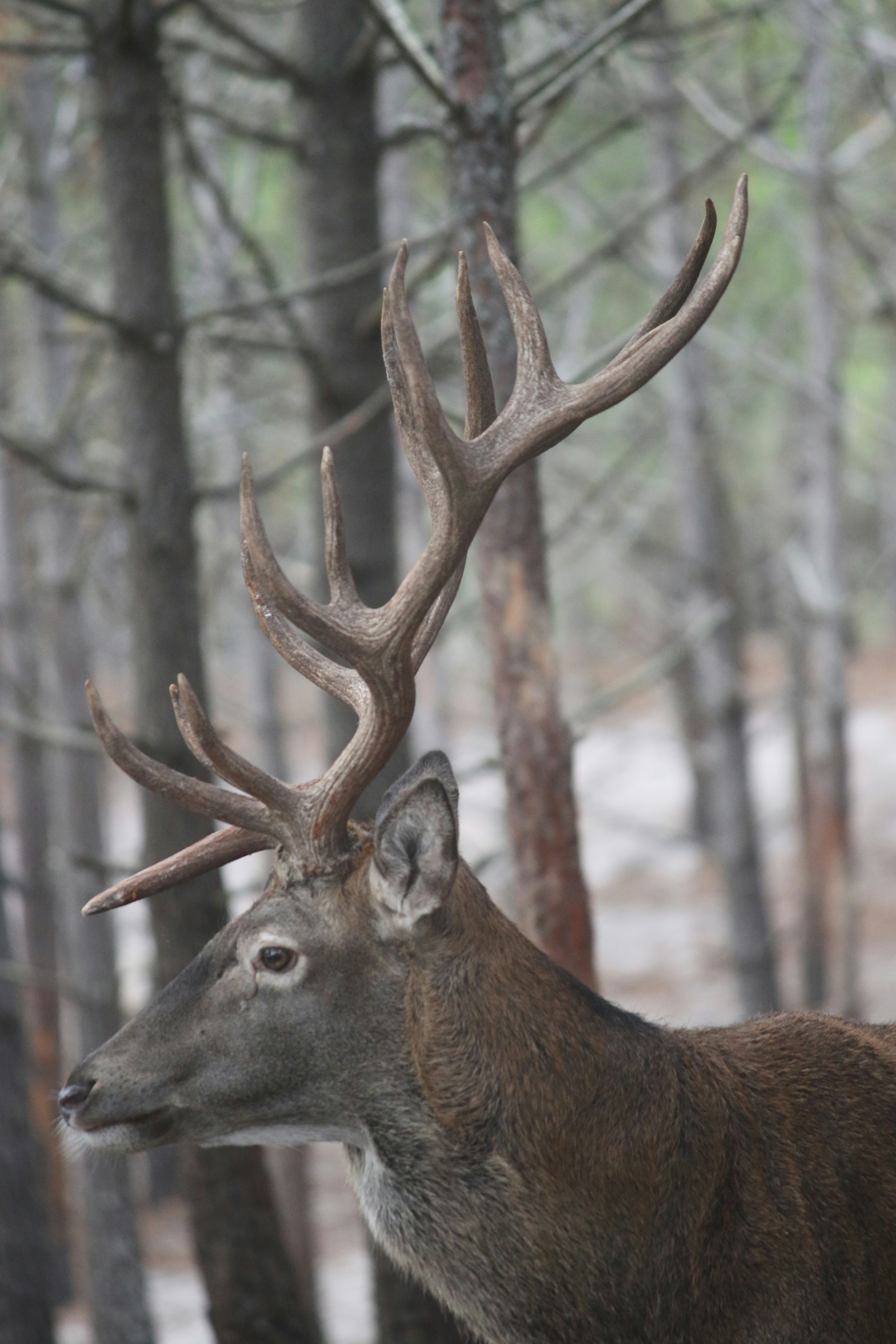 Photo by andreiacunha