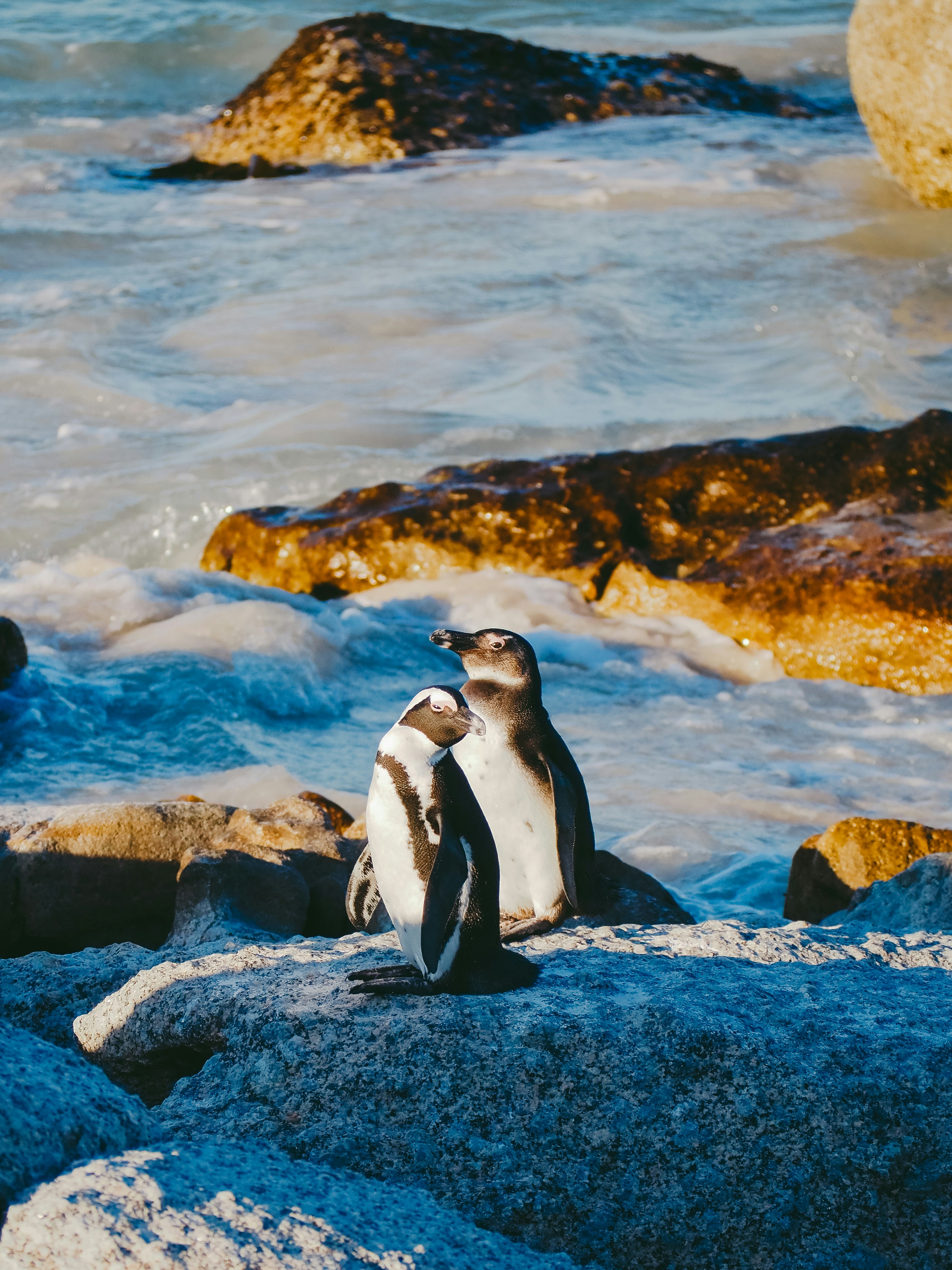 Photo by yikaisun_0831