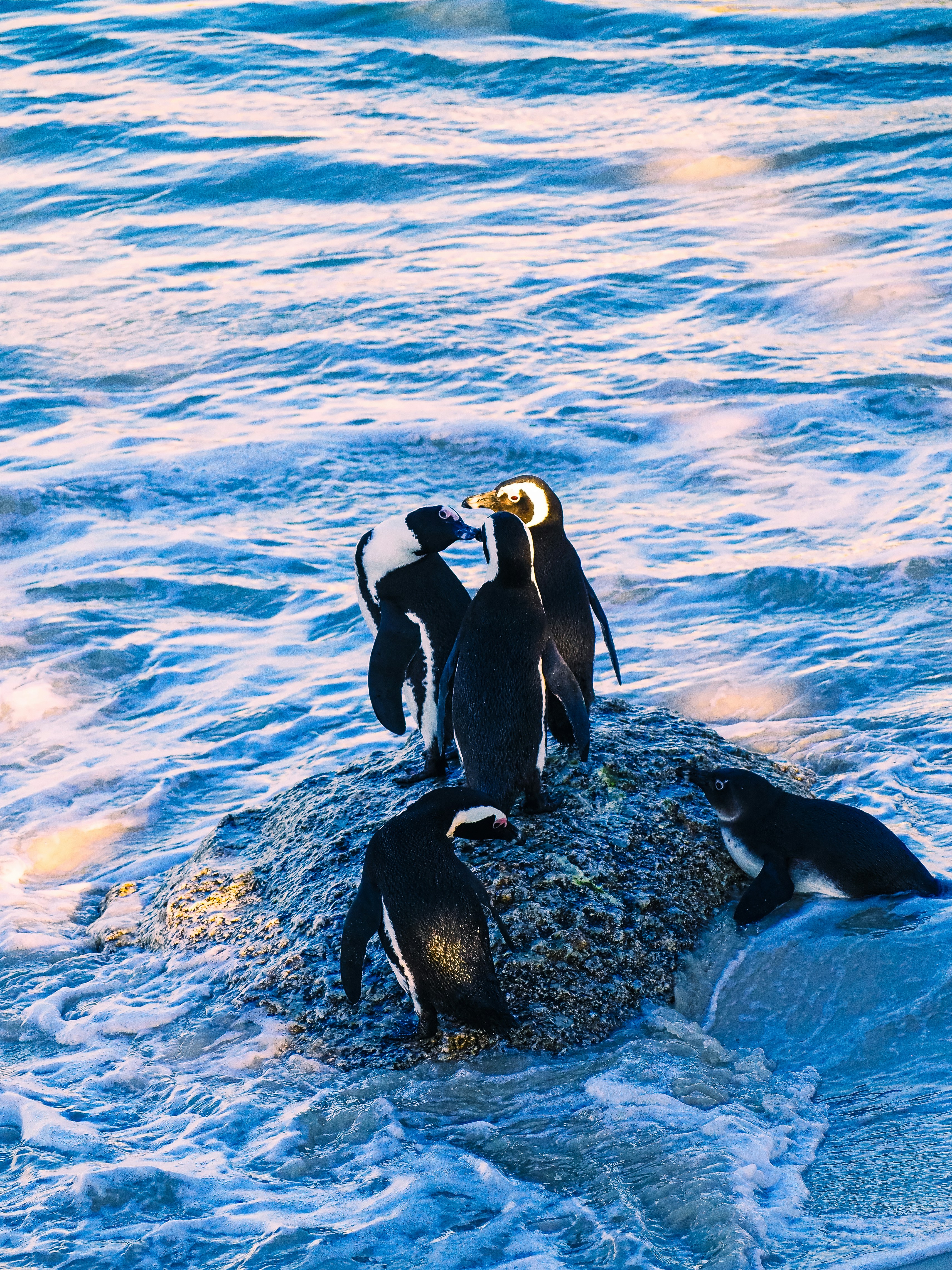 Photo by yikaisun_0831