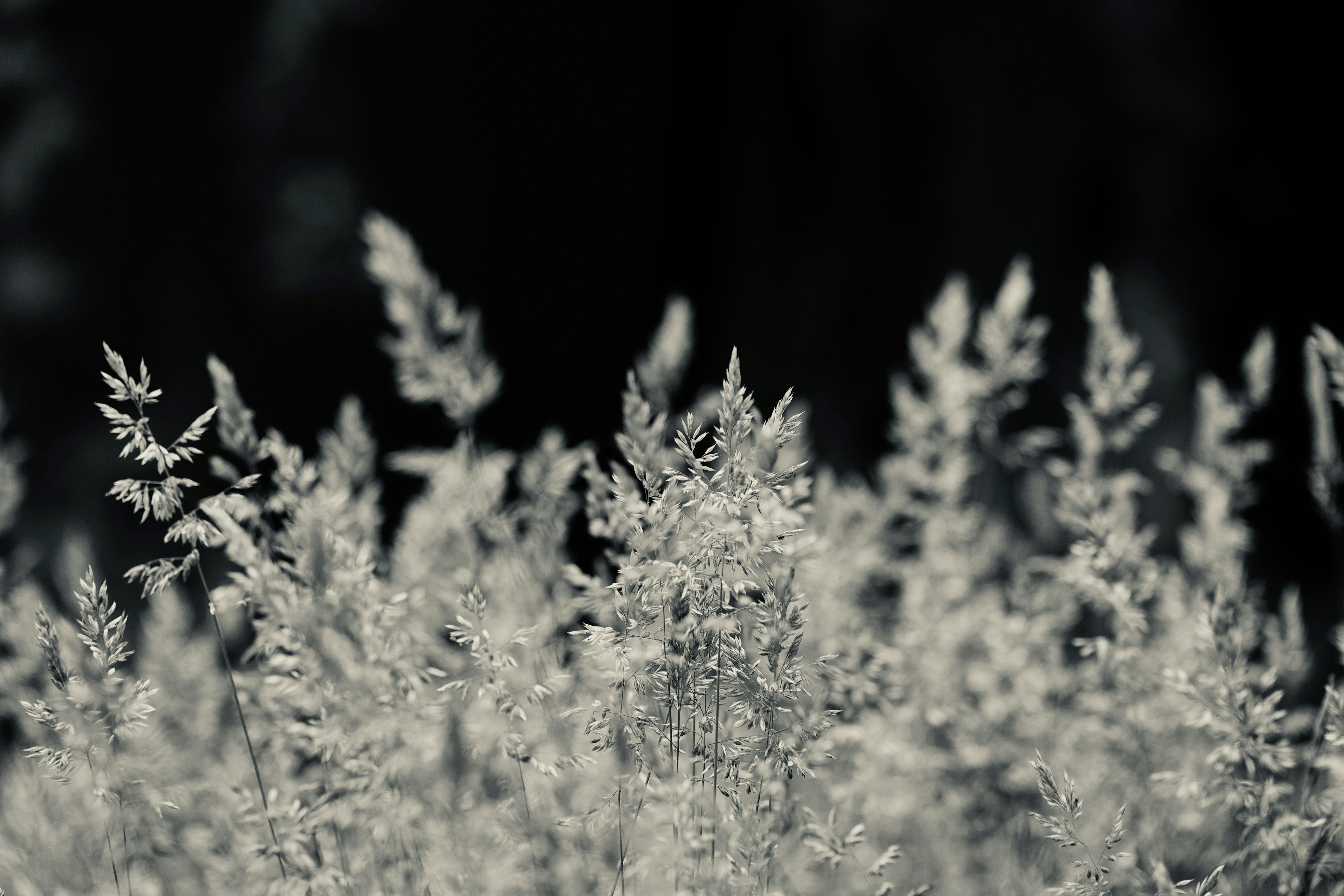 Photo by priyankachechi29